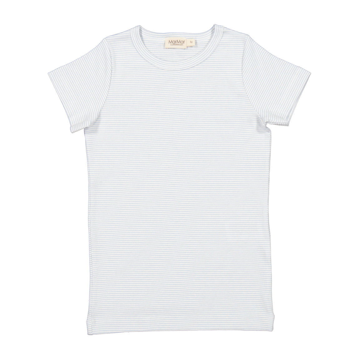 Boys & Girls Light Blue Stripes T-Shirt