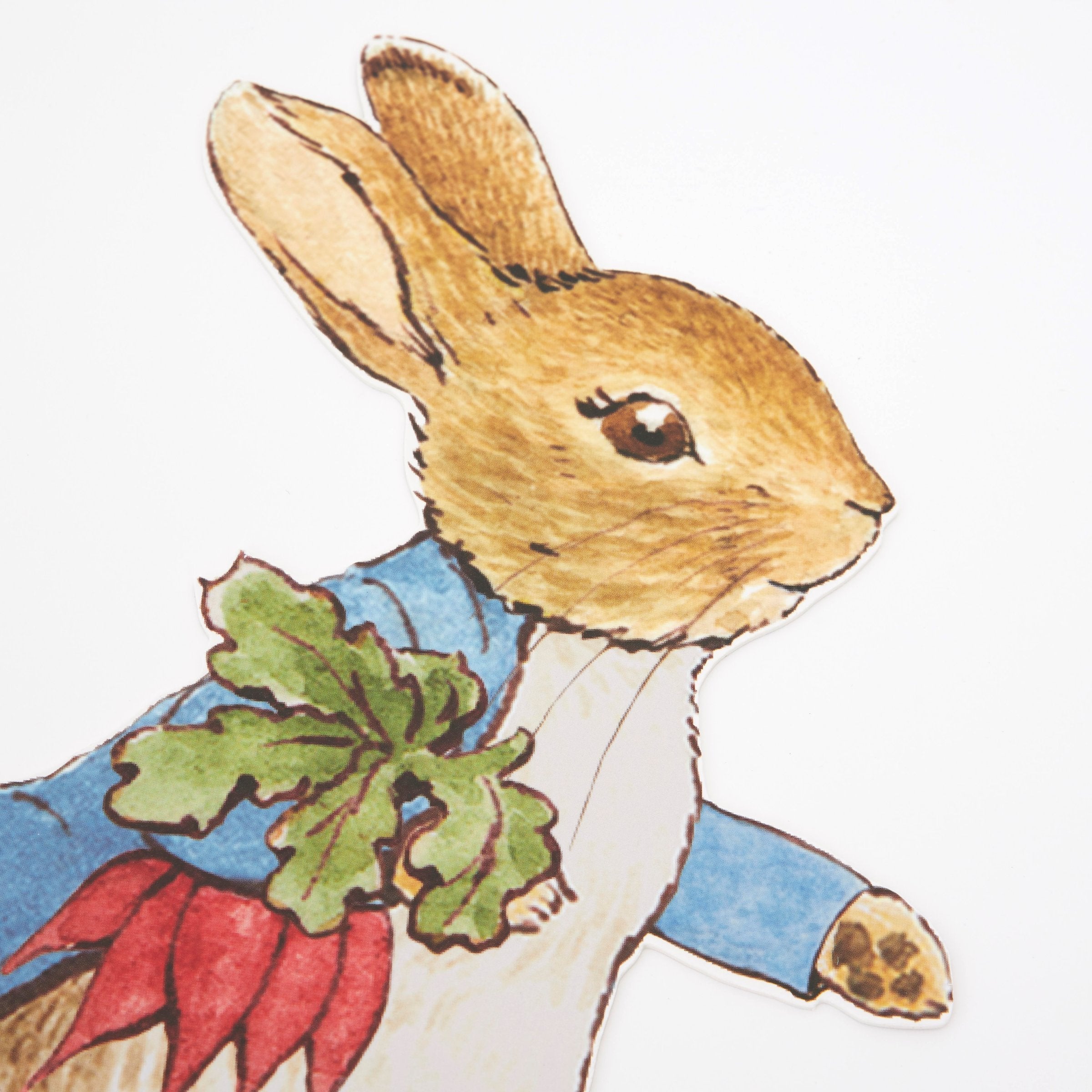 Illustration Card