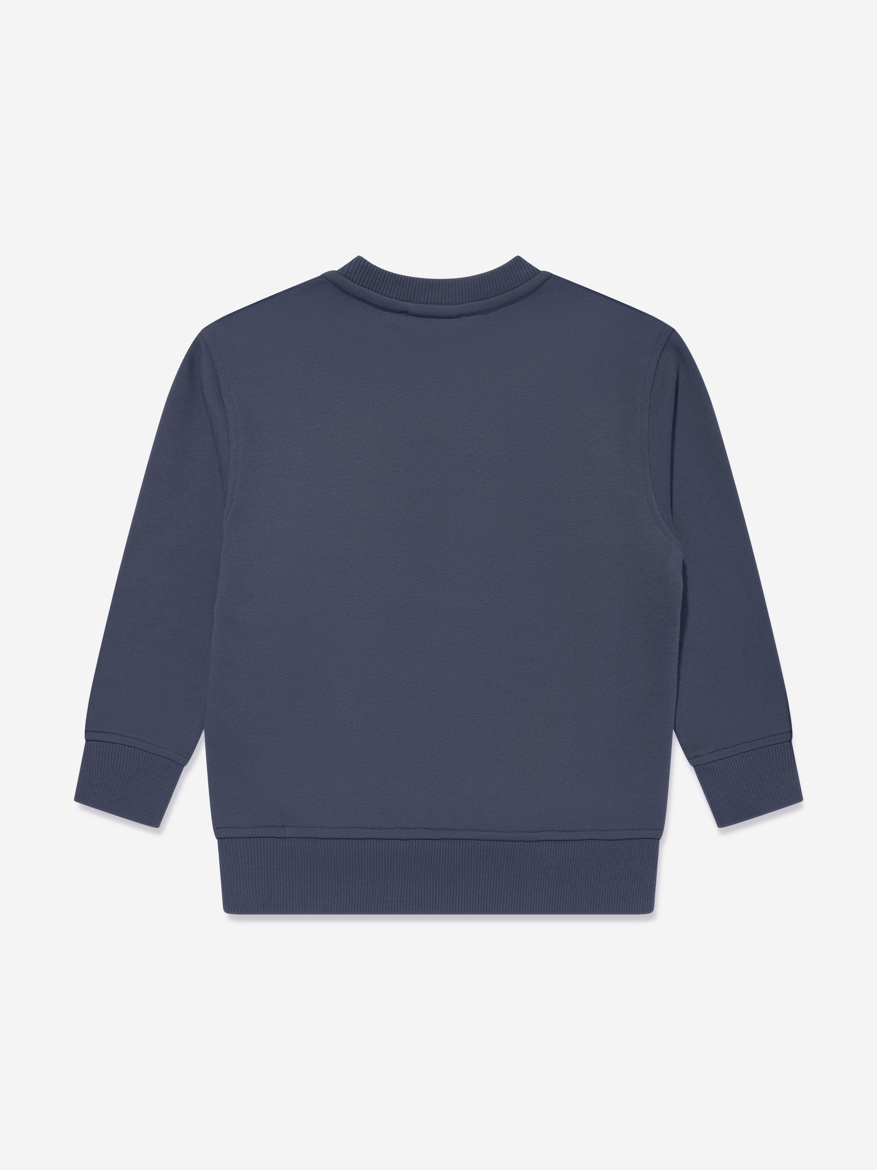 Boys Logo Sweatshirt in Blue
