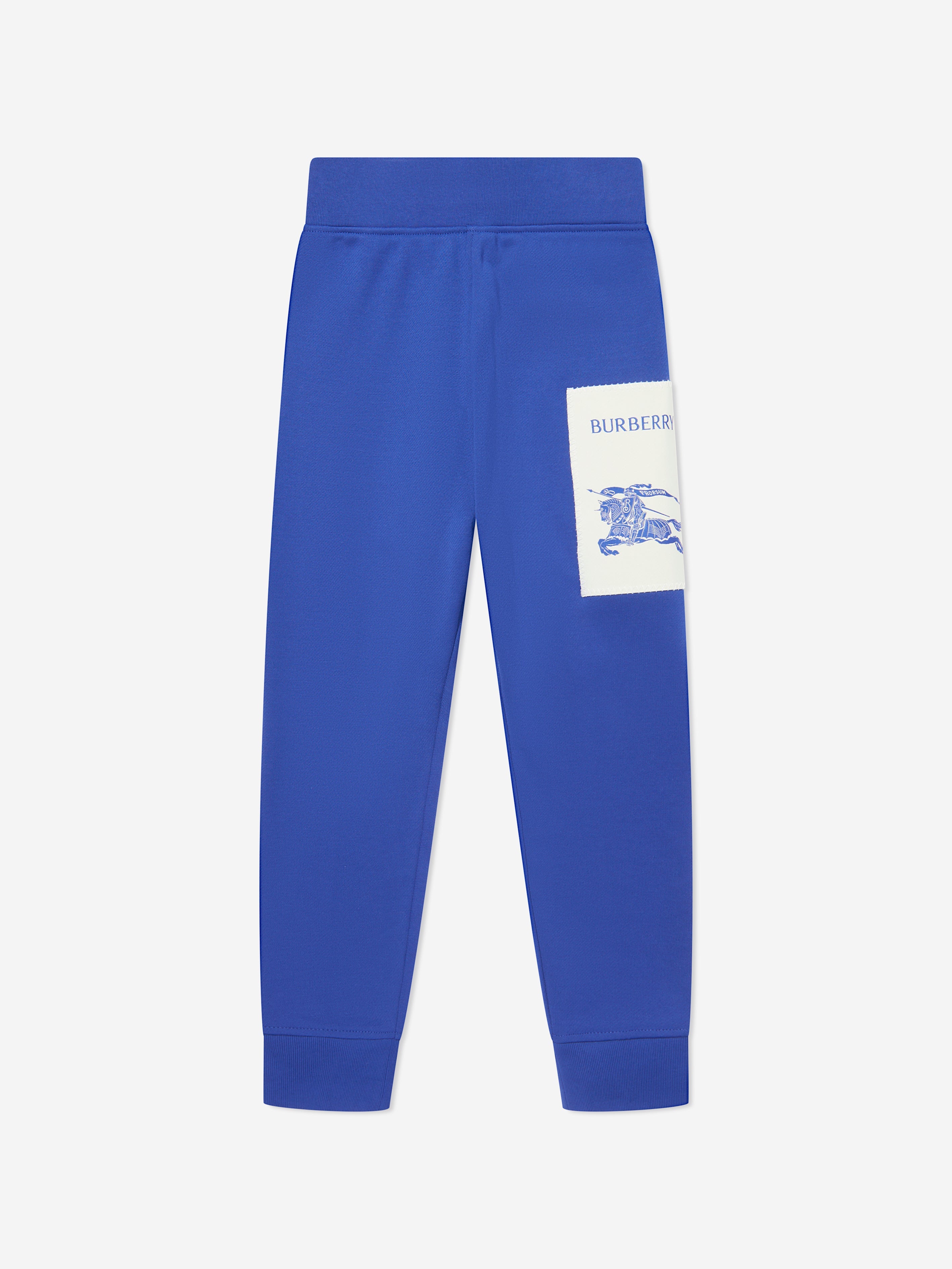 Boys EKD Label Sidney Joggers in Blue