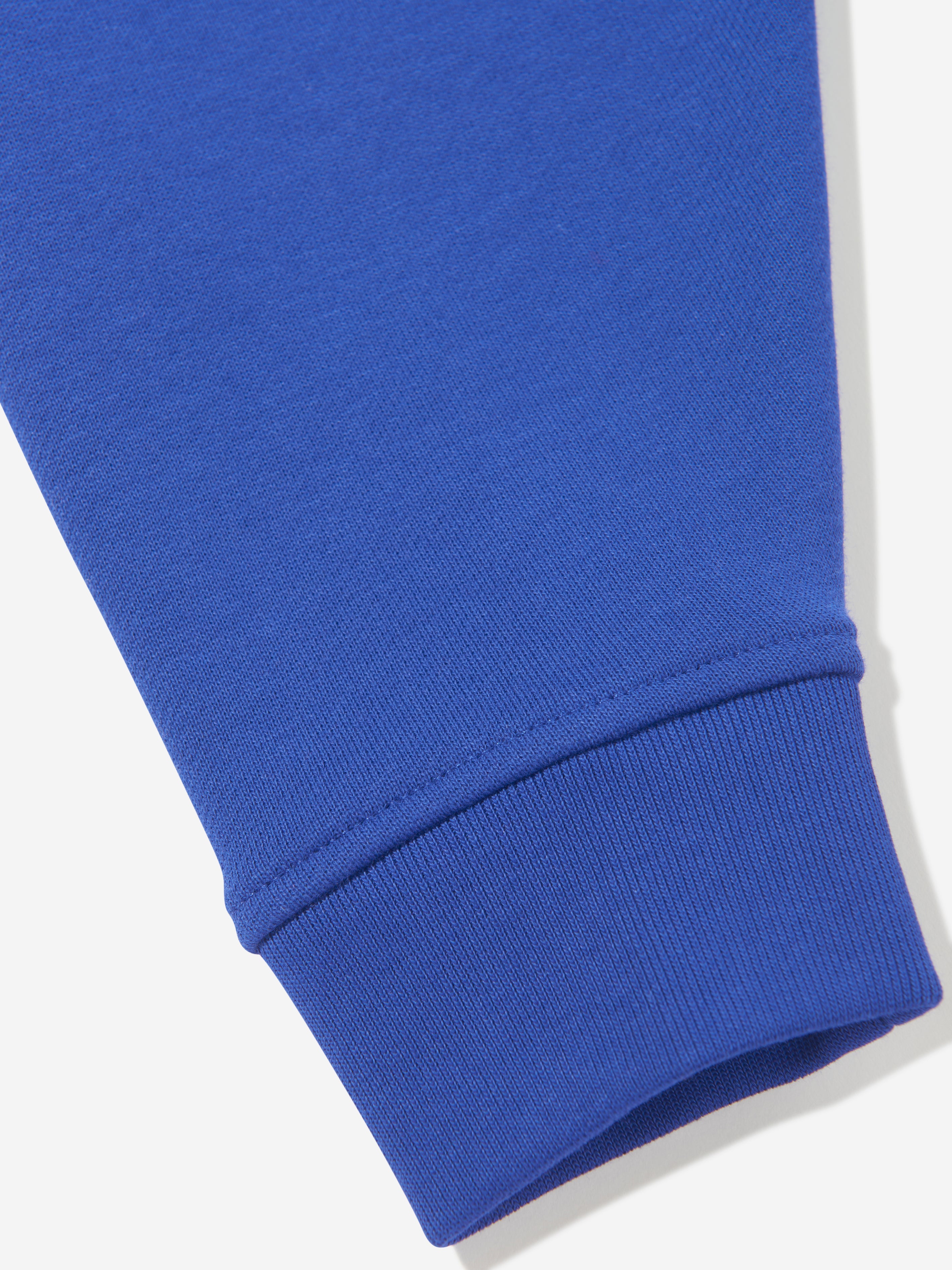 Baby Boys EKD Label Sidney Joggers in Blue