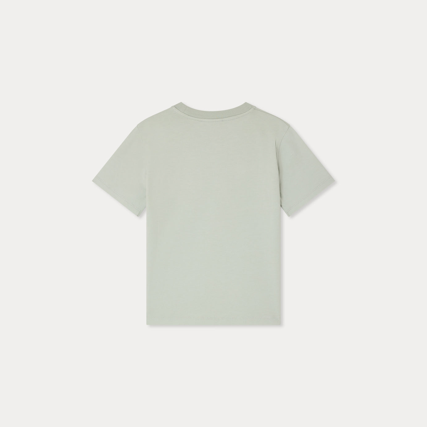 Boys Light Green Cotton T-Shirt