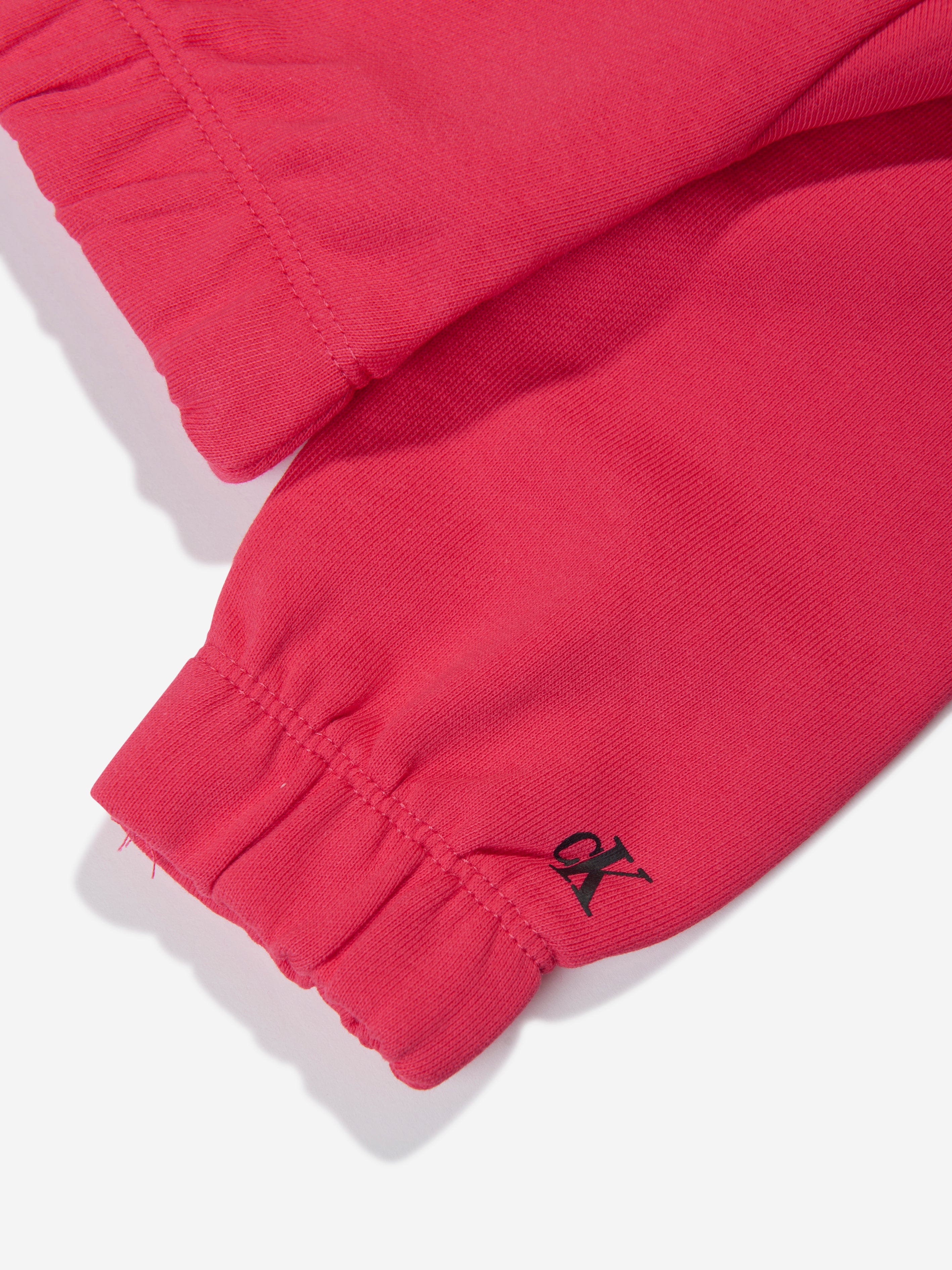 Calvin Klein Girls Hero Logo Hoodie in Teaberry