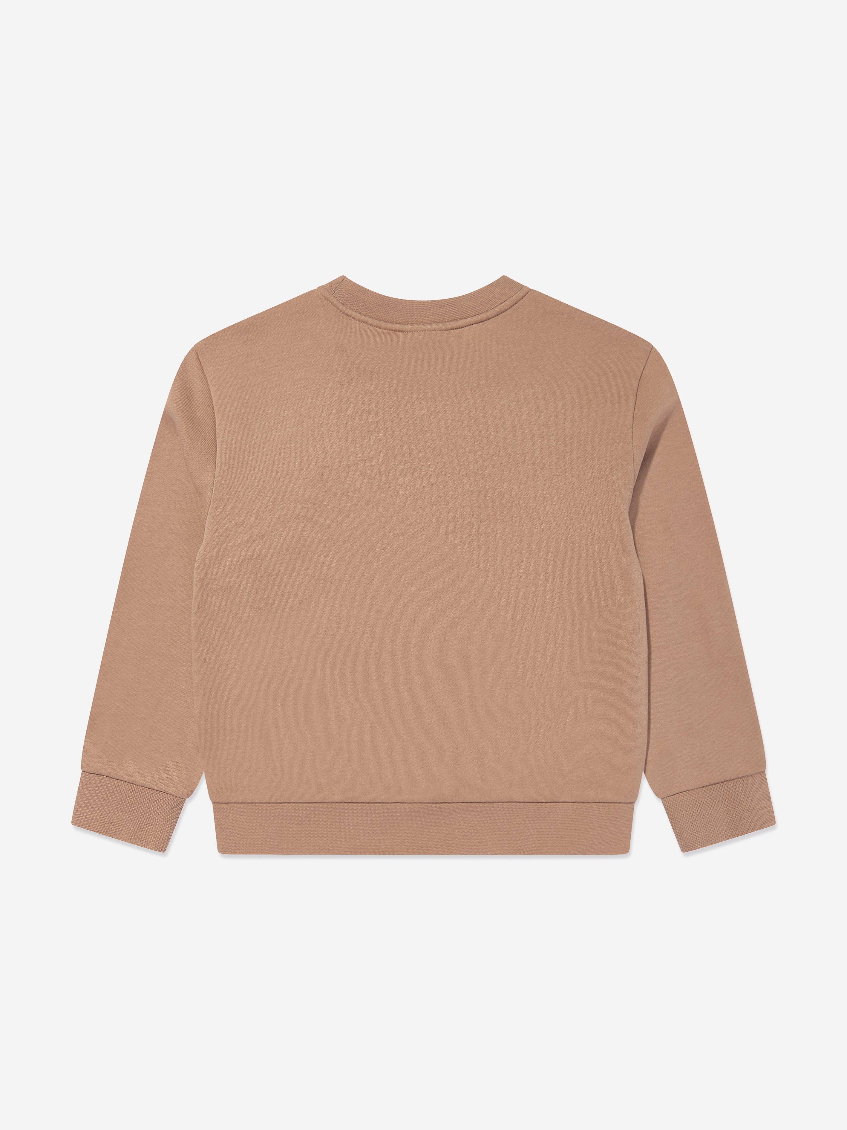 Boys Logo Sweatshirt in Brown