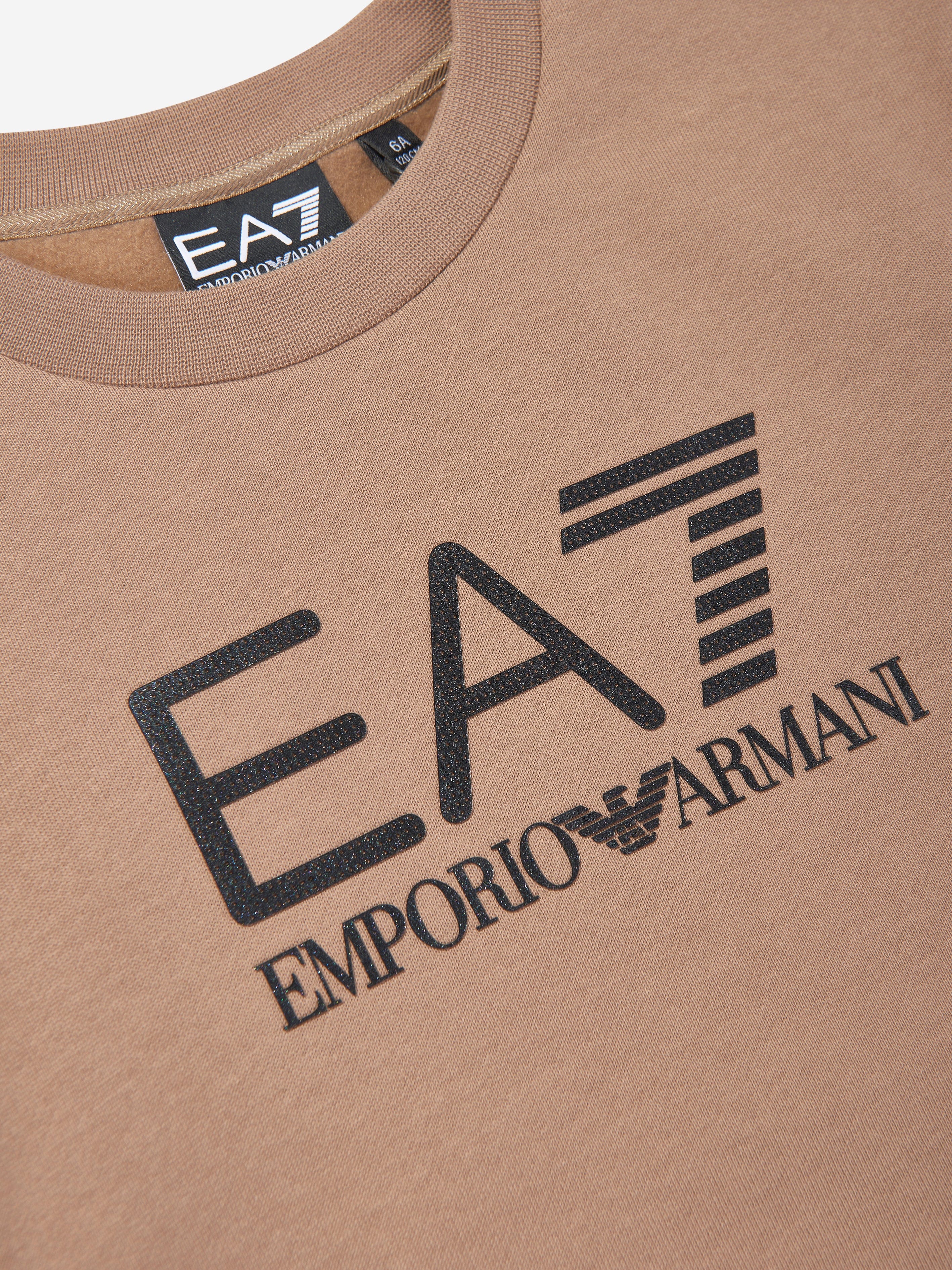 Boys Logo Sweatshirt in Brown