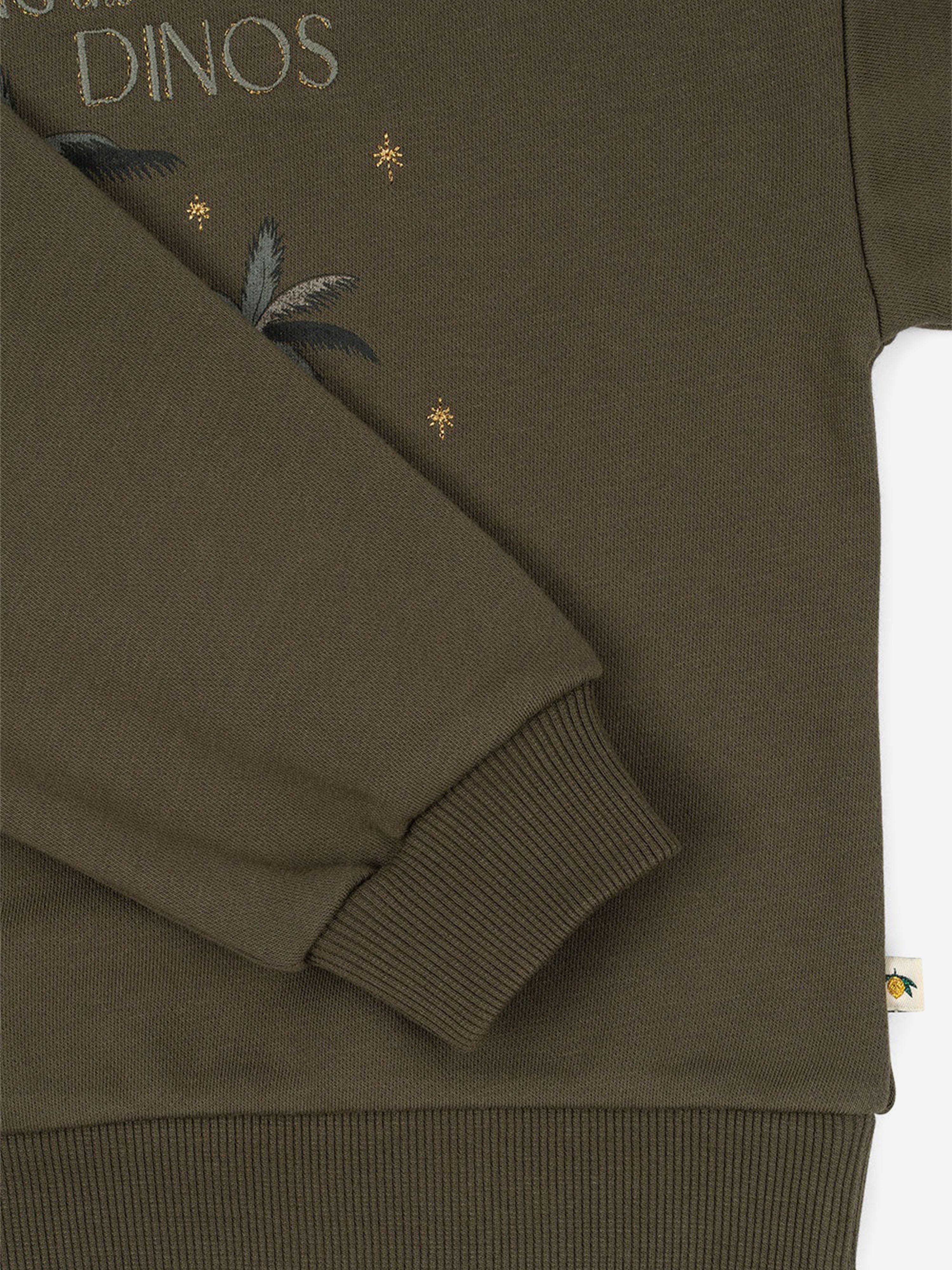 Boys Lou Sweatshirt in Green