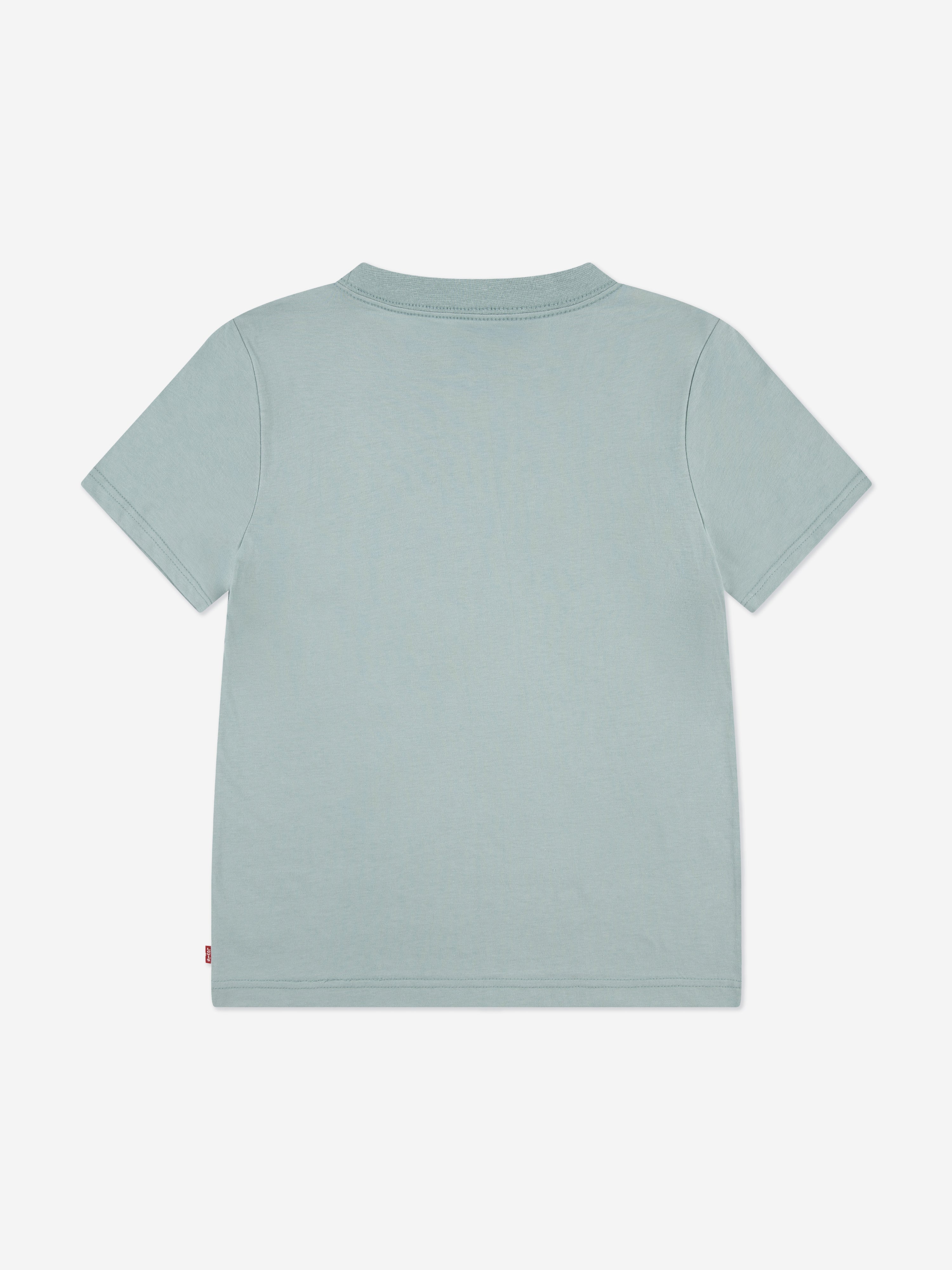 Levi's Boys Batwing Chest Hit T-Shirt in Green