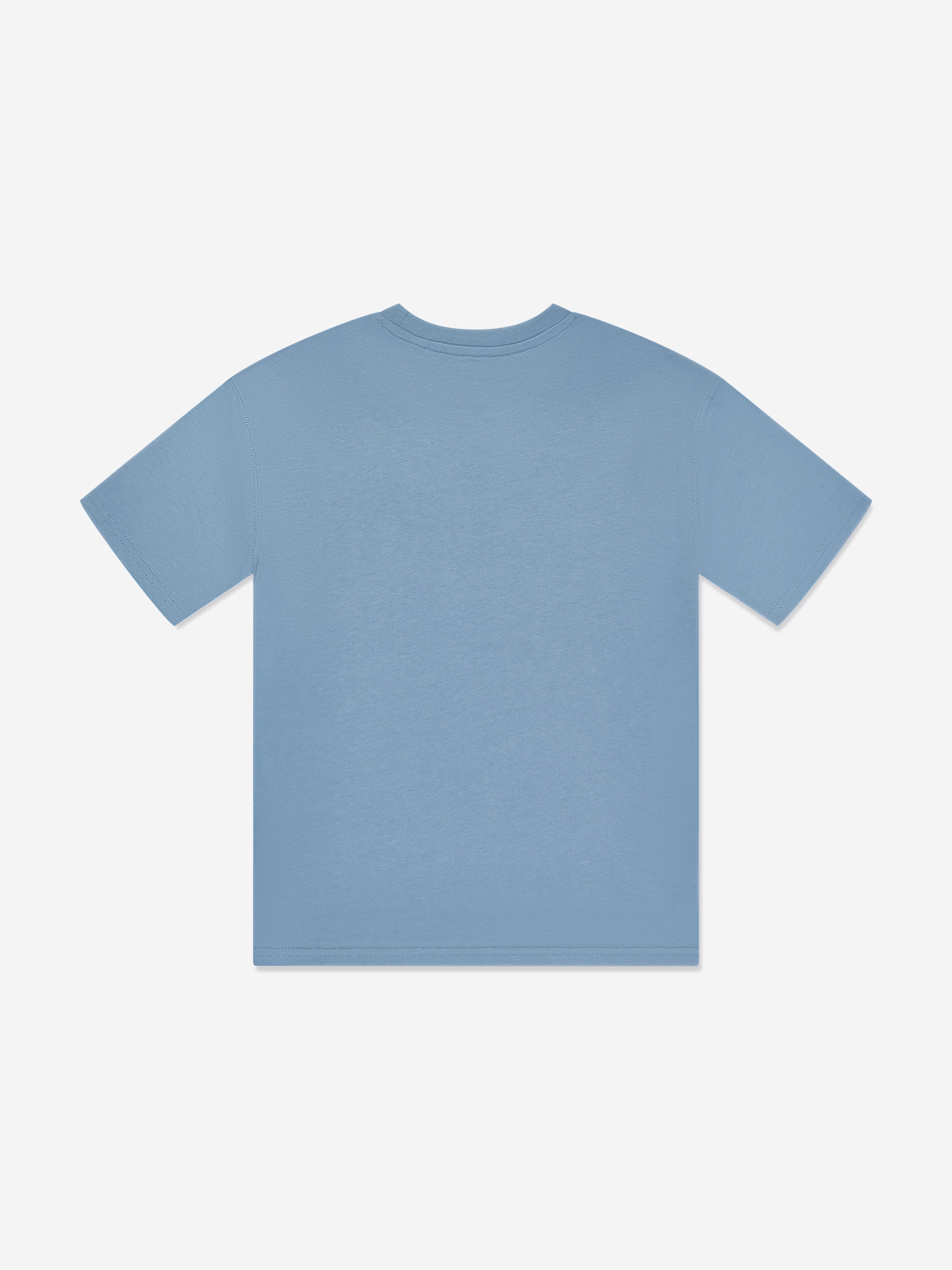 Boys Jersey Small Logo T-Shirt in Blue