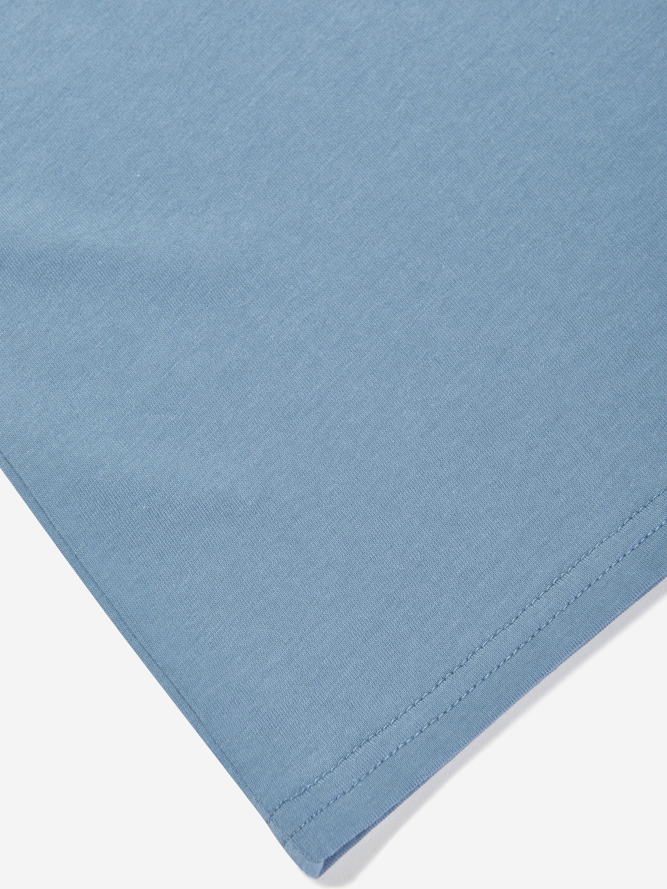 Boys Jersey Small Logo T-Shirt in Blue
