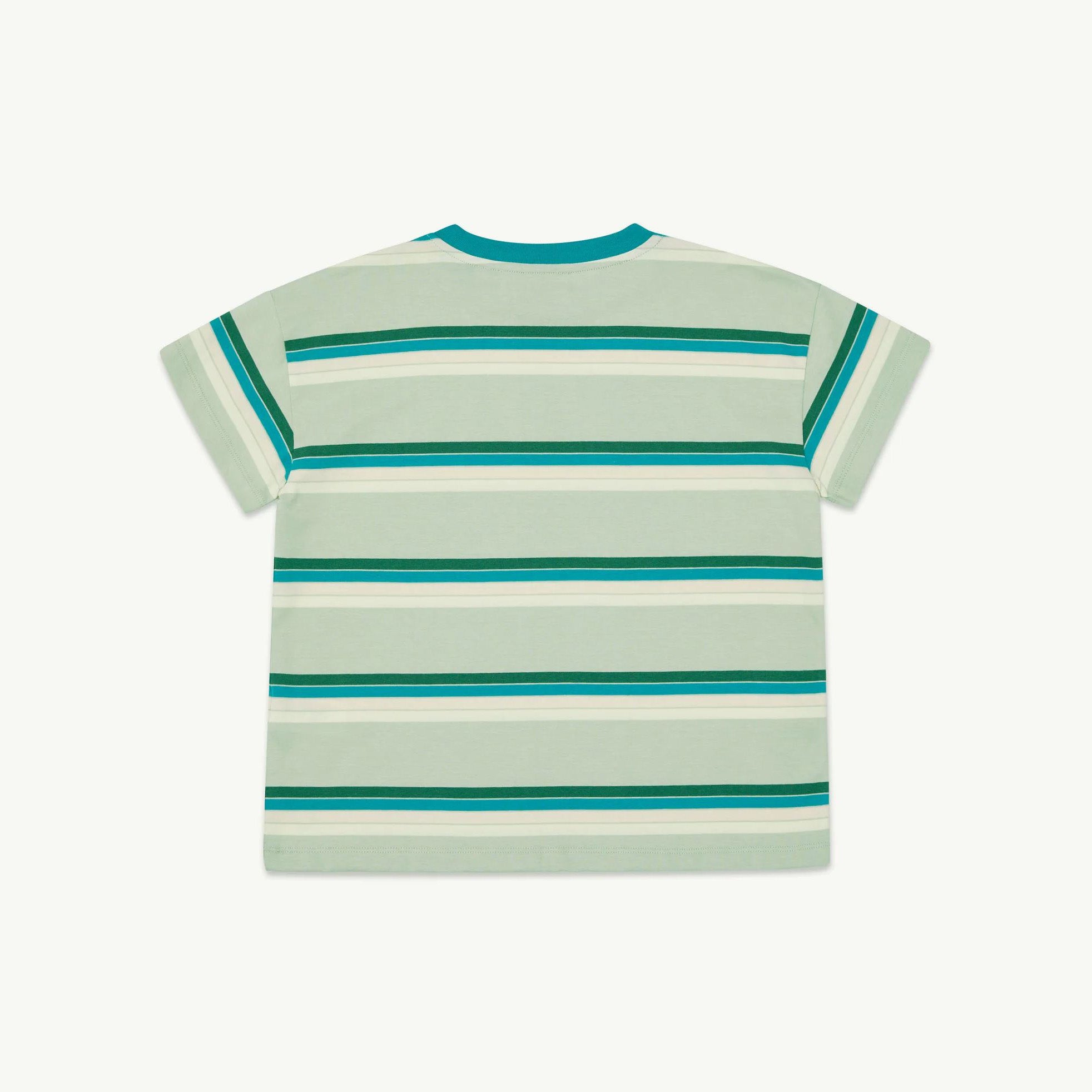 Boys & Girls Green Stripes Cotton T-Shirt