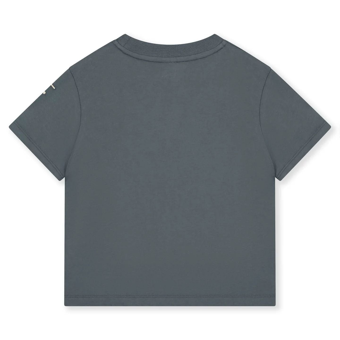Boys & Girls Blue Grey Cotton T-Shirt