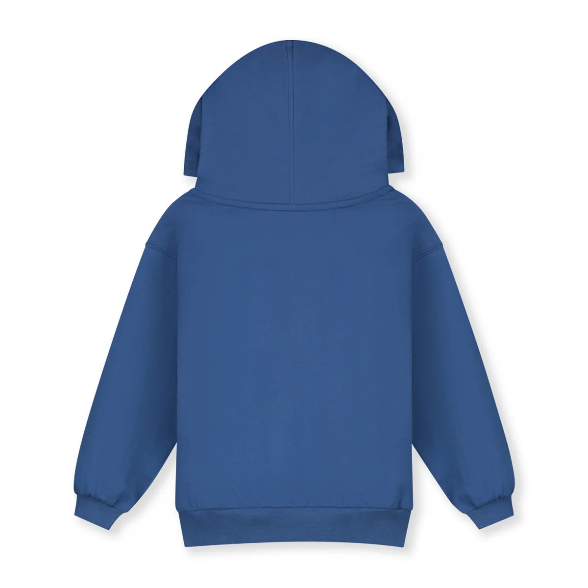 Boys & Girls Blue Hooded Cotton Sweatshirt