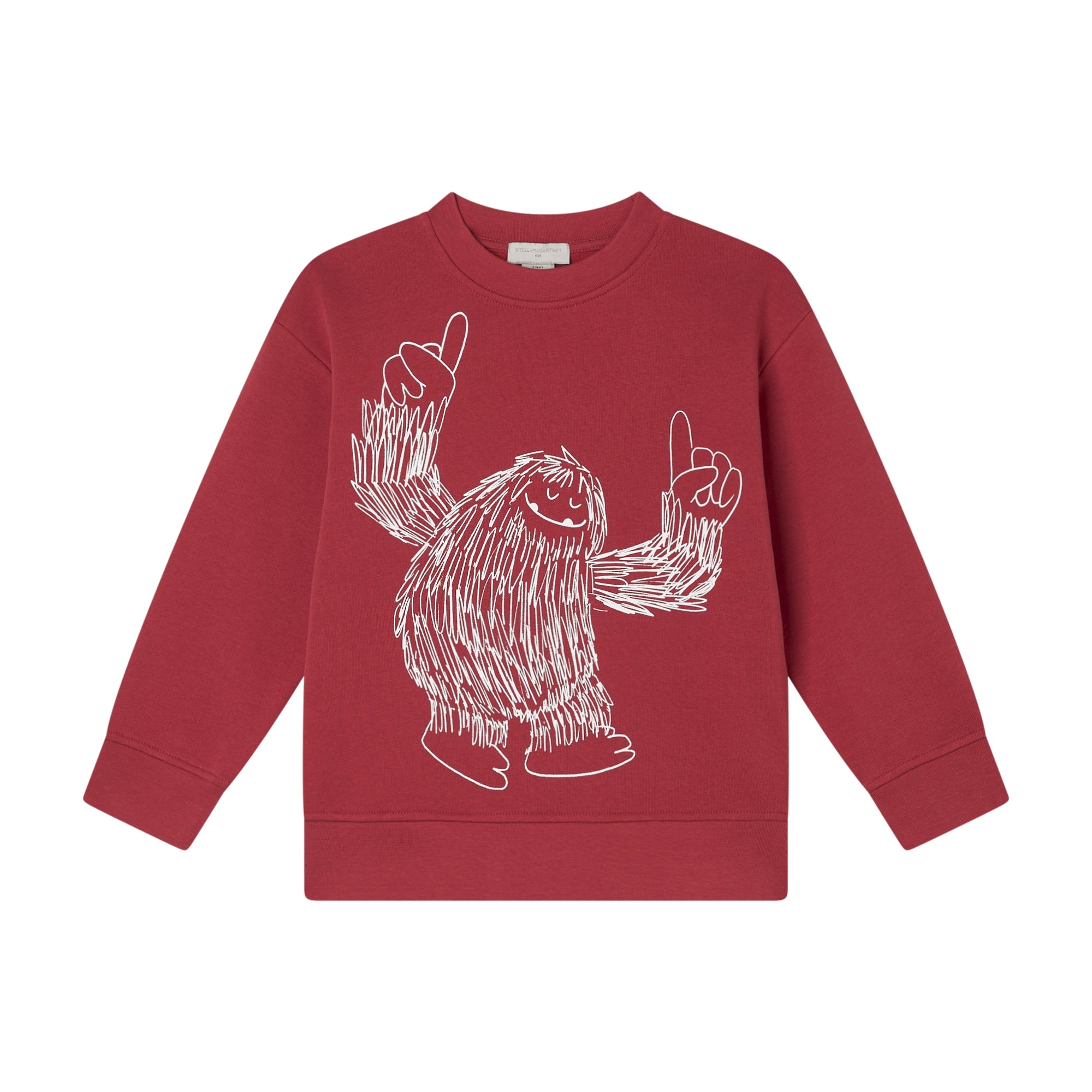 Boys Red Printed Cotton Sweatshirt