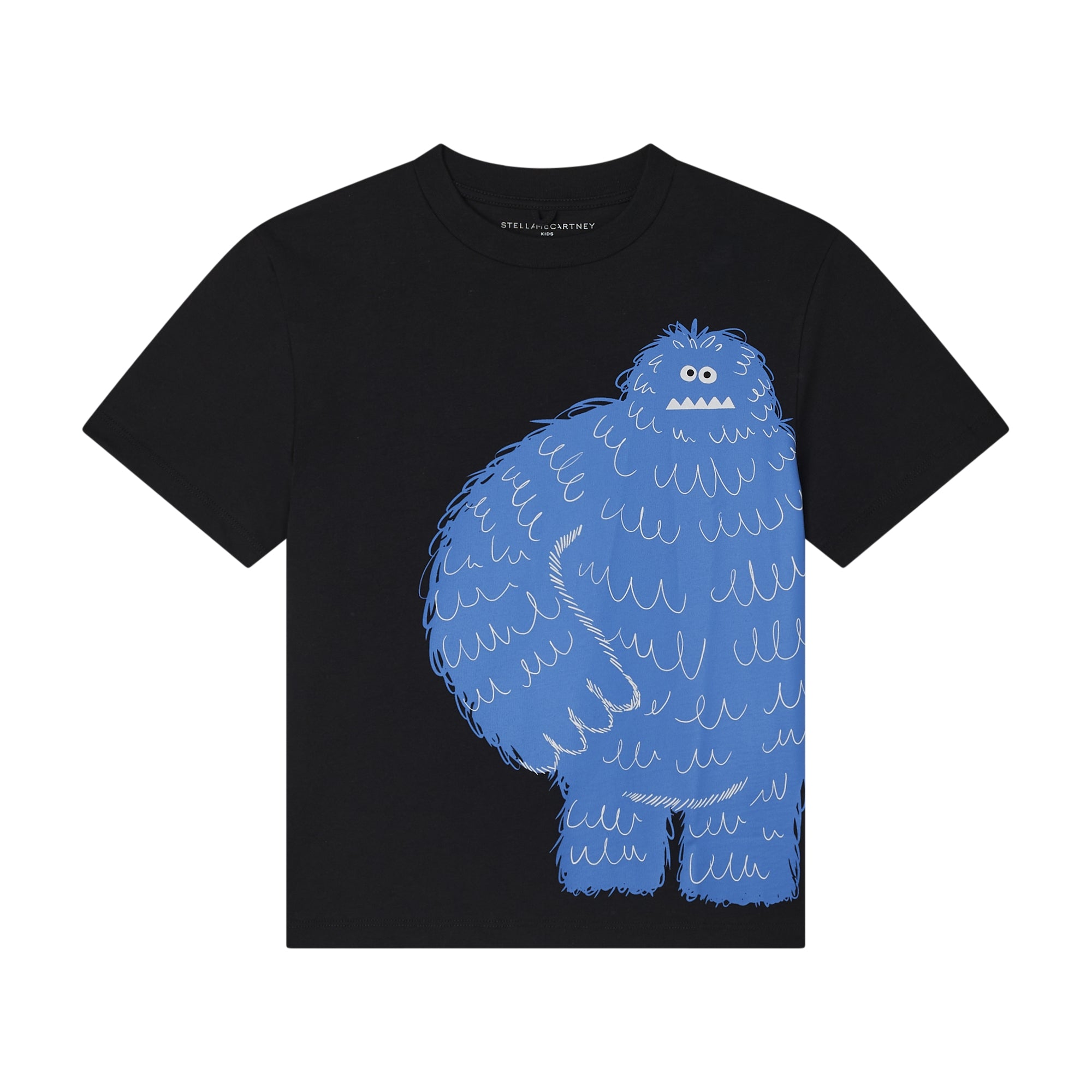 Boys Black Printed Cotton T-Shirt