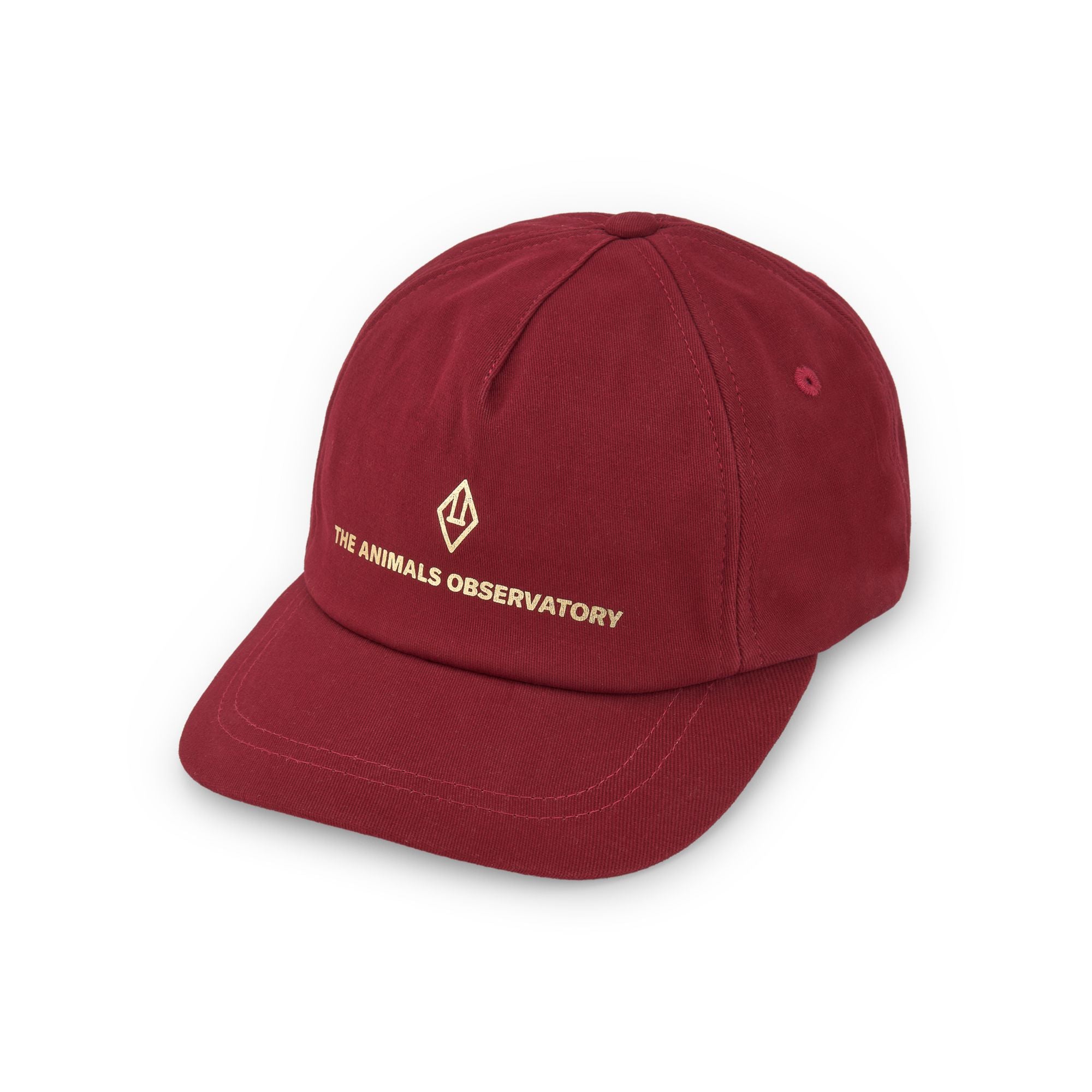 Boys & Girls Wine Red Logo Cotton Cap