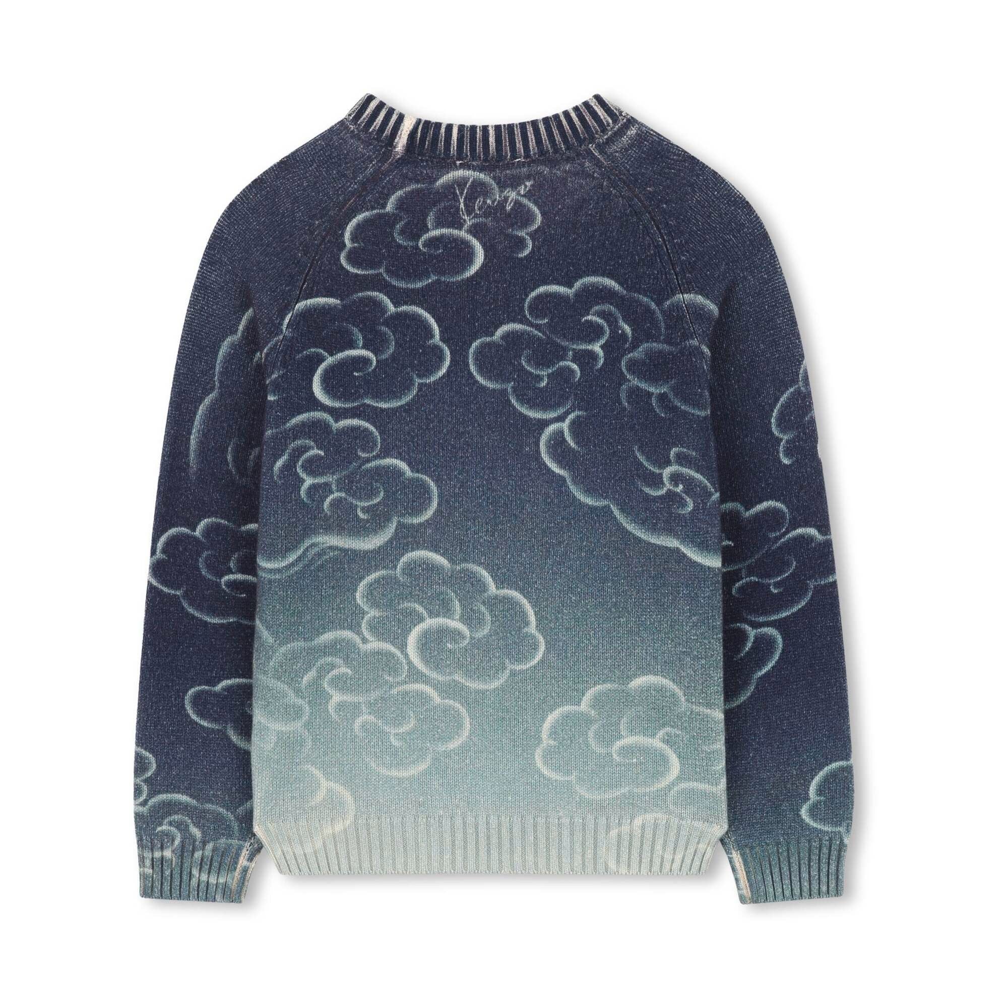 Boys Blue Printed Cotton Knit Sweater