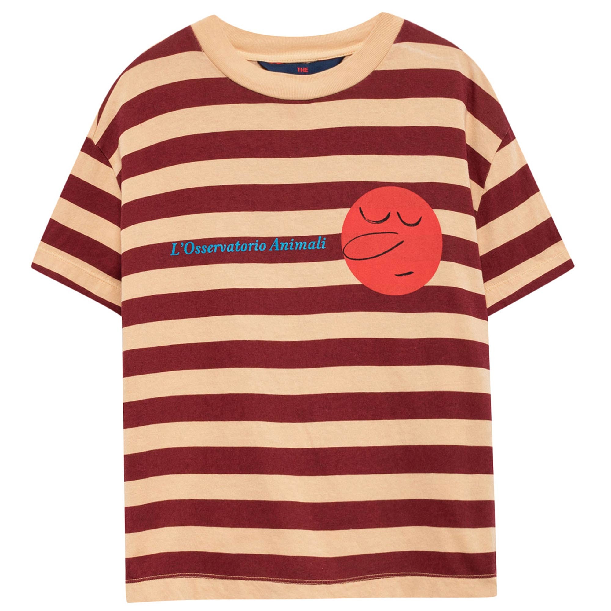 Boys & Girls Wine Red Striped T-shirt