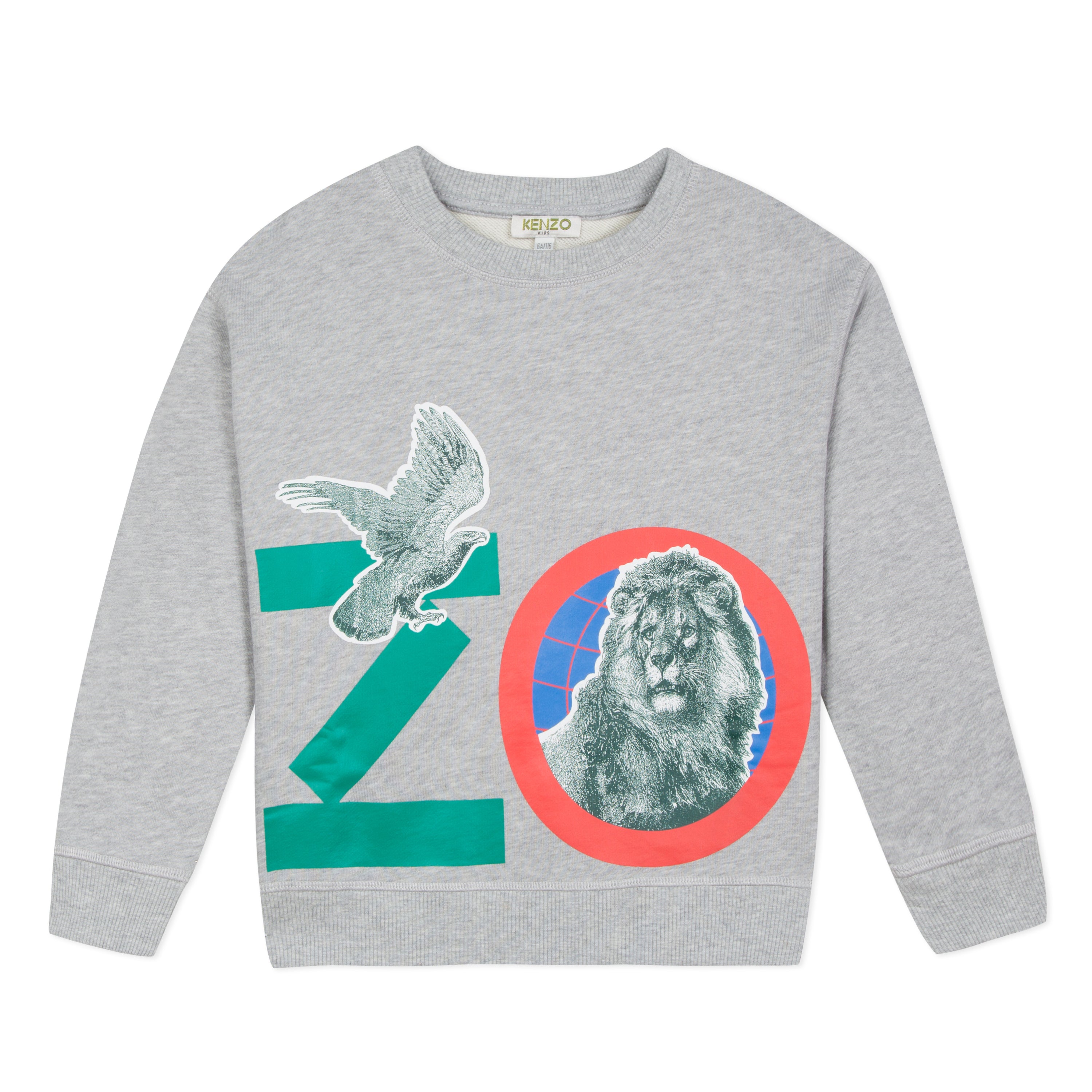 Boys Grey Printing Cotton Sweatshirt