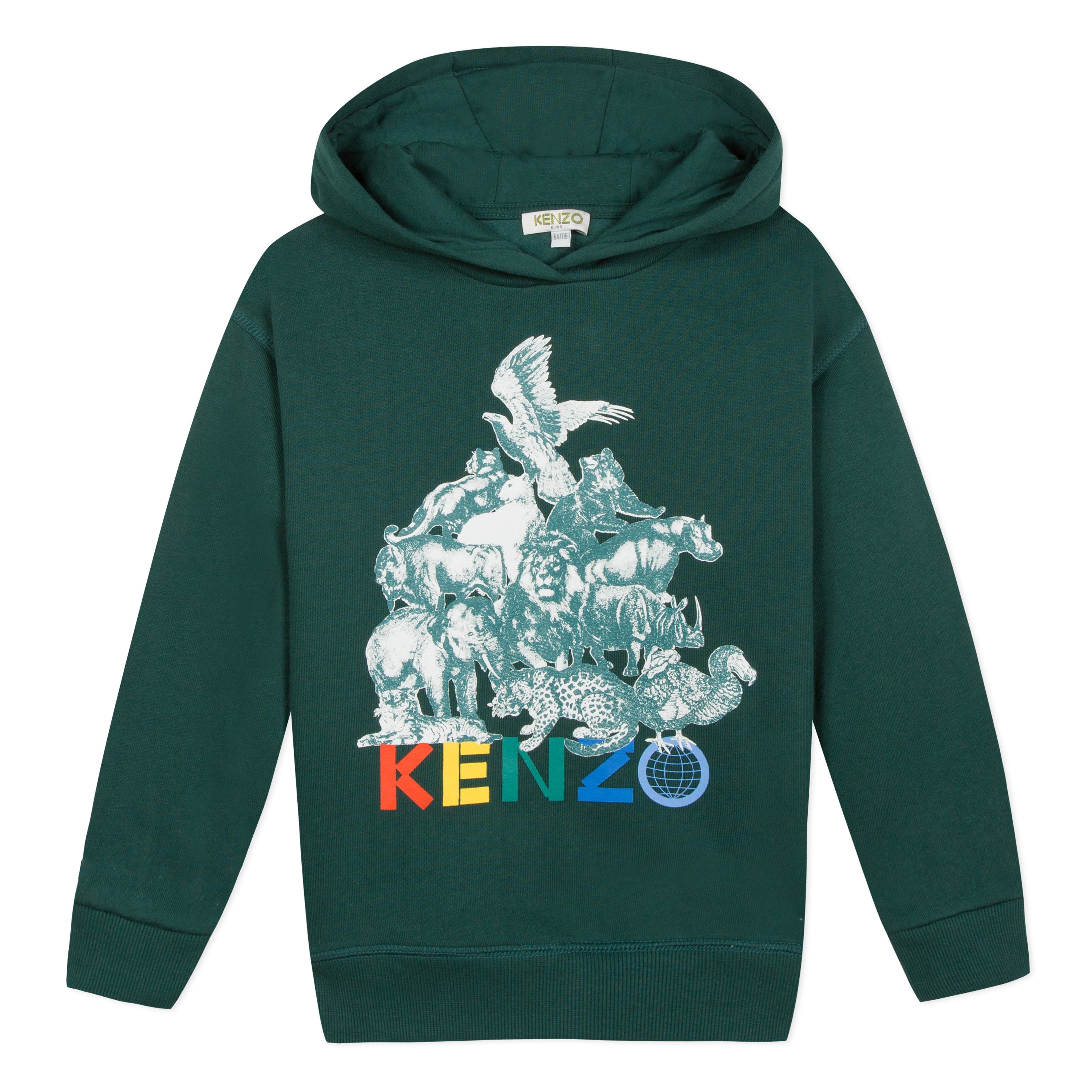 Boys Dark Green Hooded Cotton Sweatshirt
