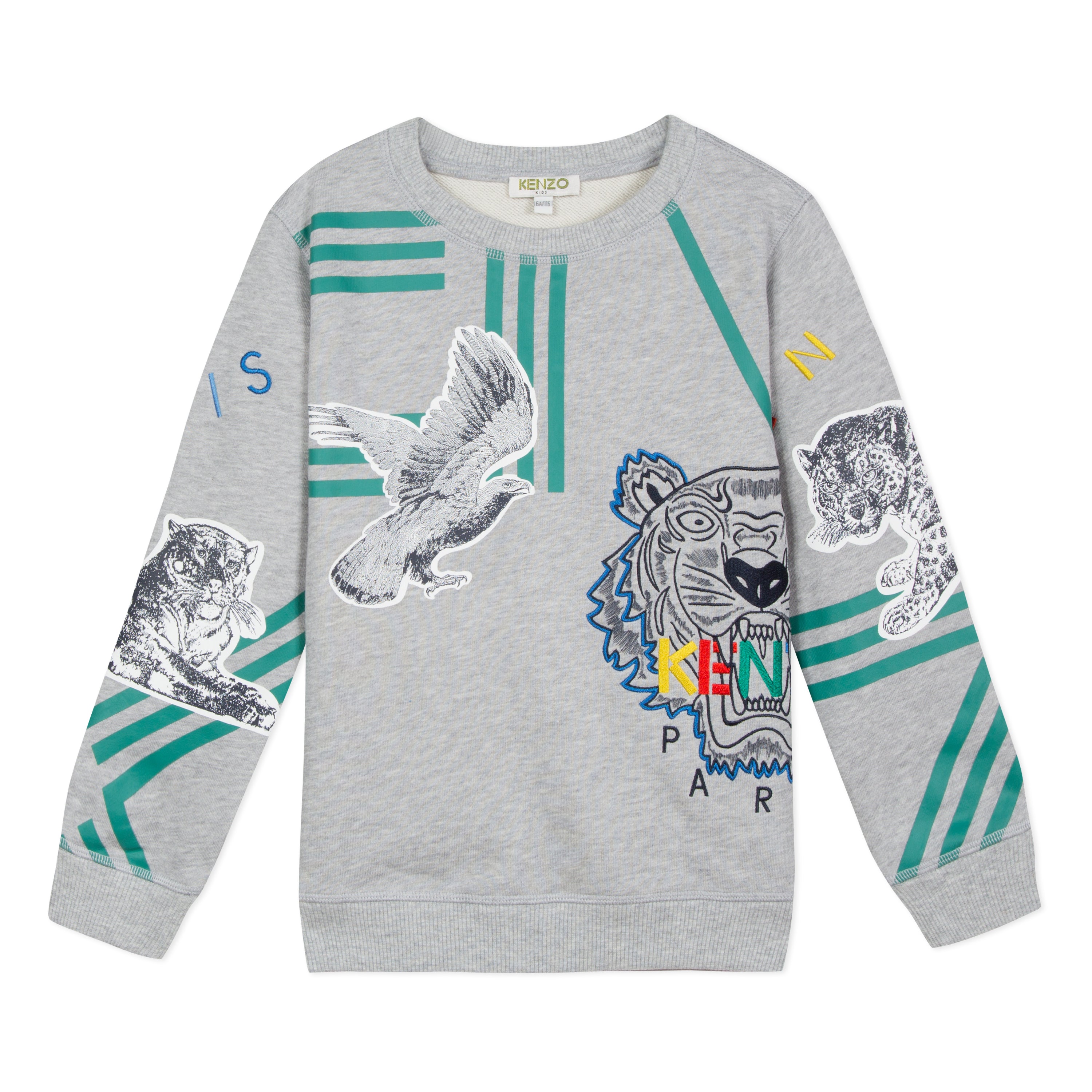 Boys Grey Printing Cotton Sweatshirt