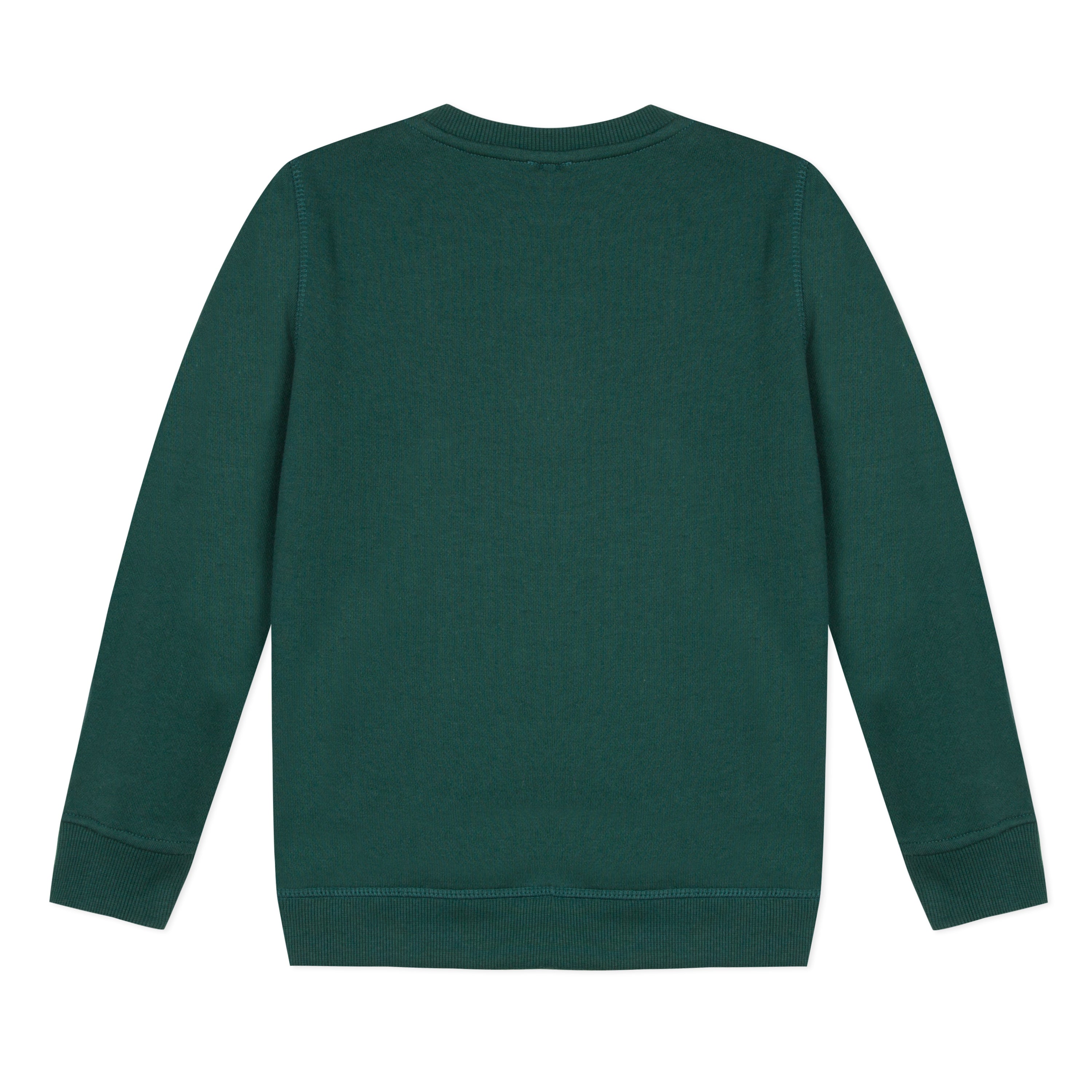 Boys Dark Green Tiger Cotton Sweatshirt