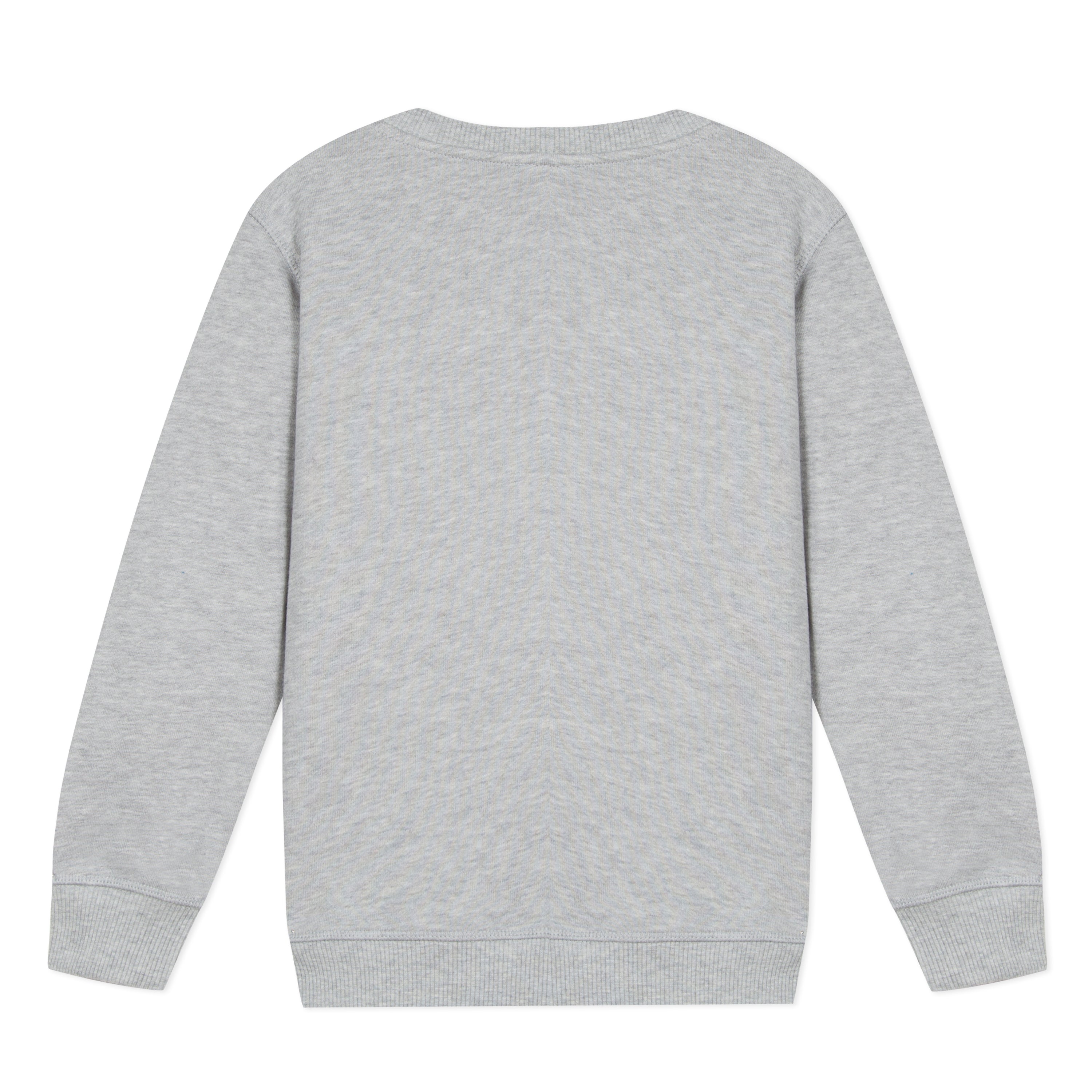 Boys Grey Tiger Cotton Sweatshirt
