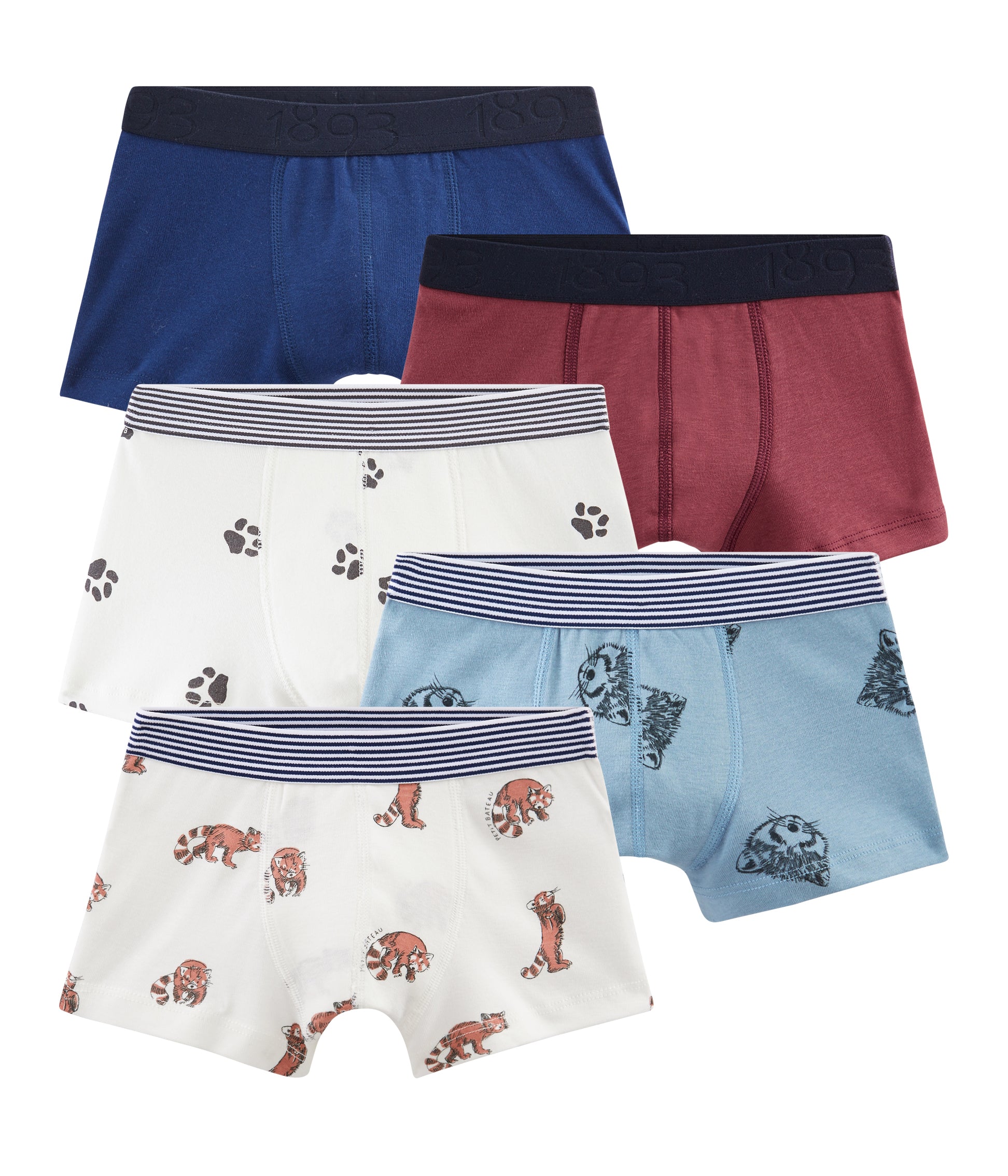 Boys Multicolor Underwear Sets