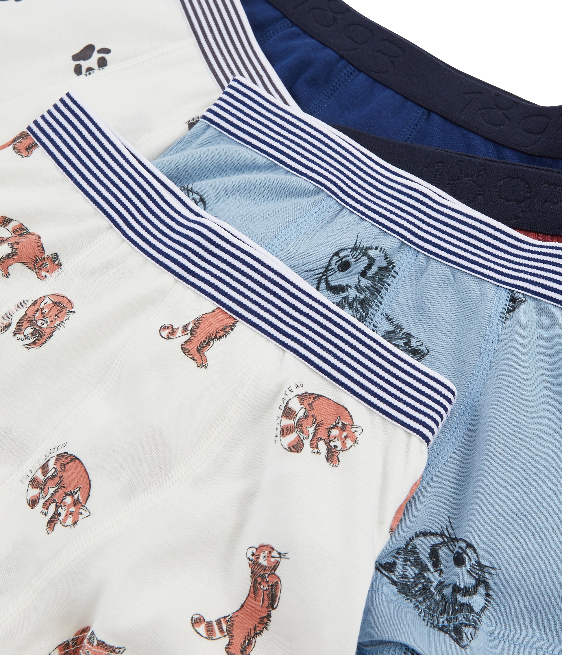 Boys Multicolor Underwear Sets