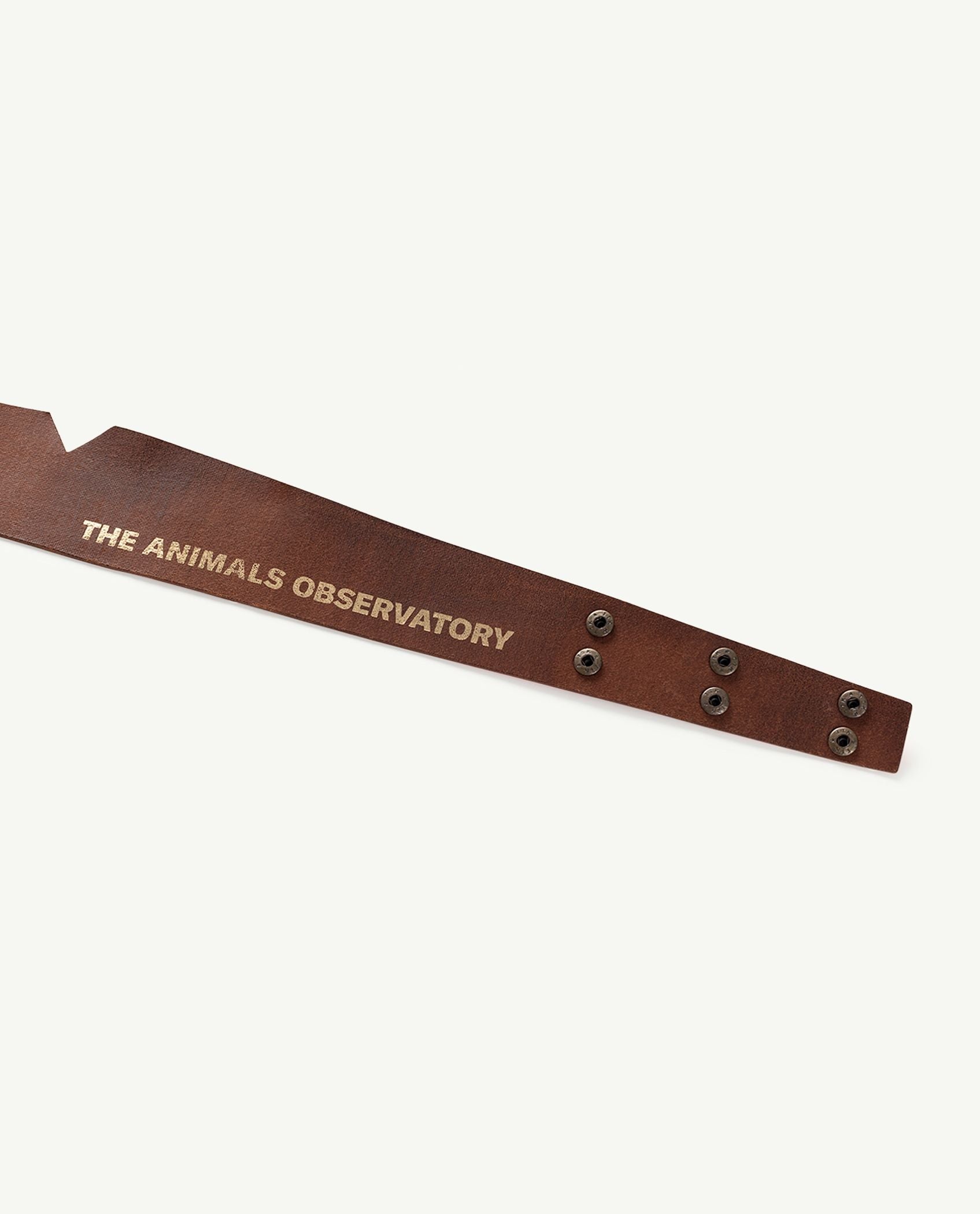 Boys & Girls Red Belt