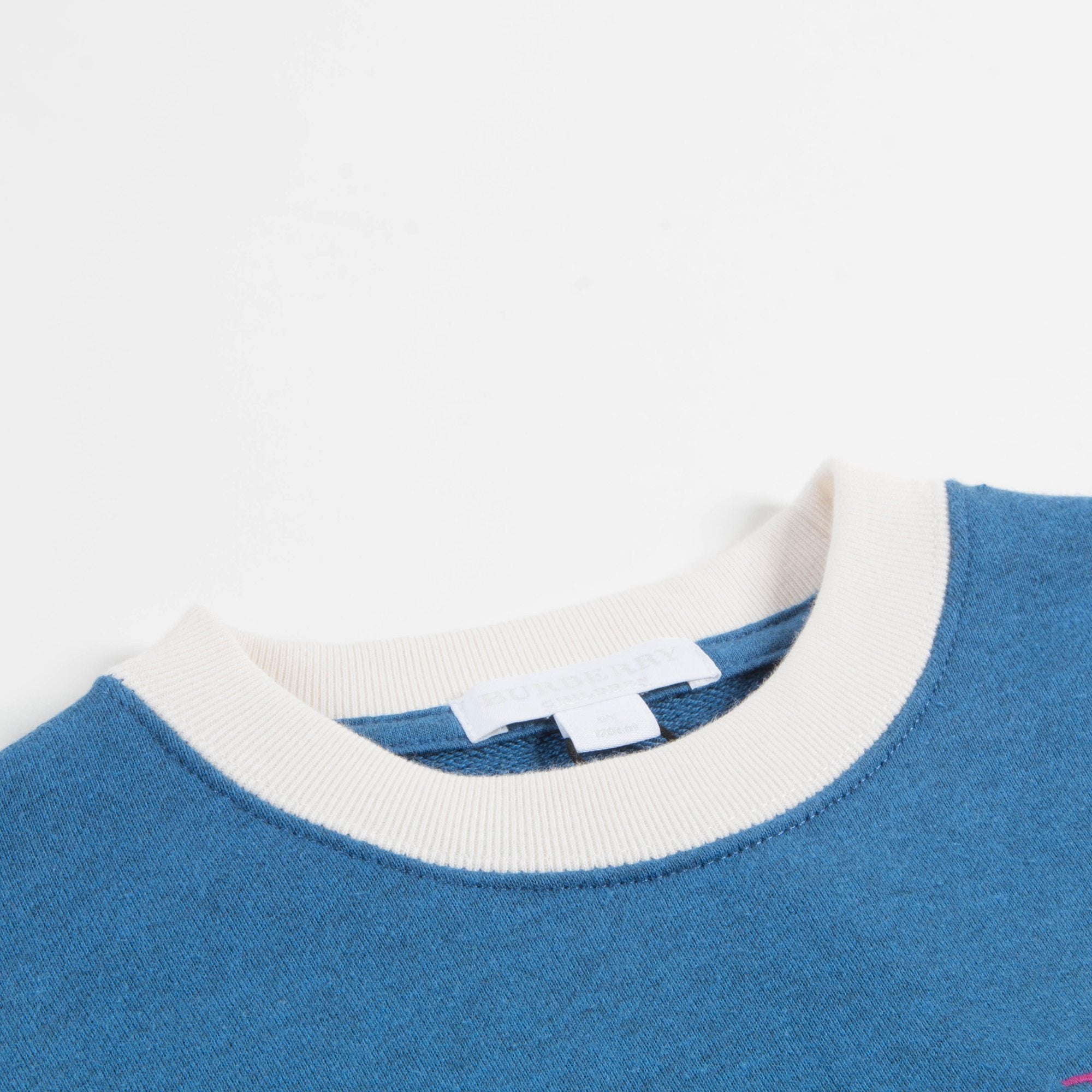Girls Hydrangea Blue Cotton Sweatshirt