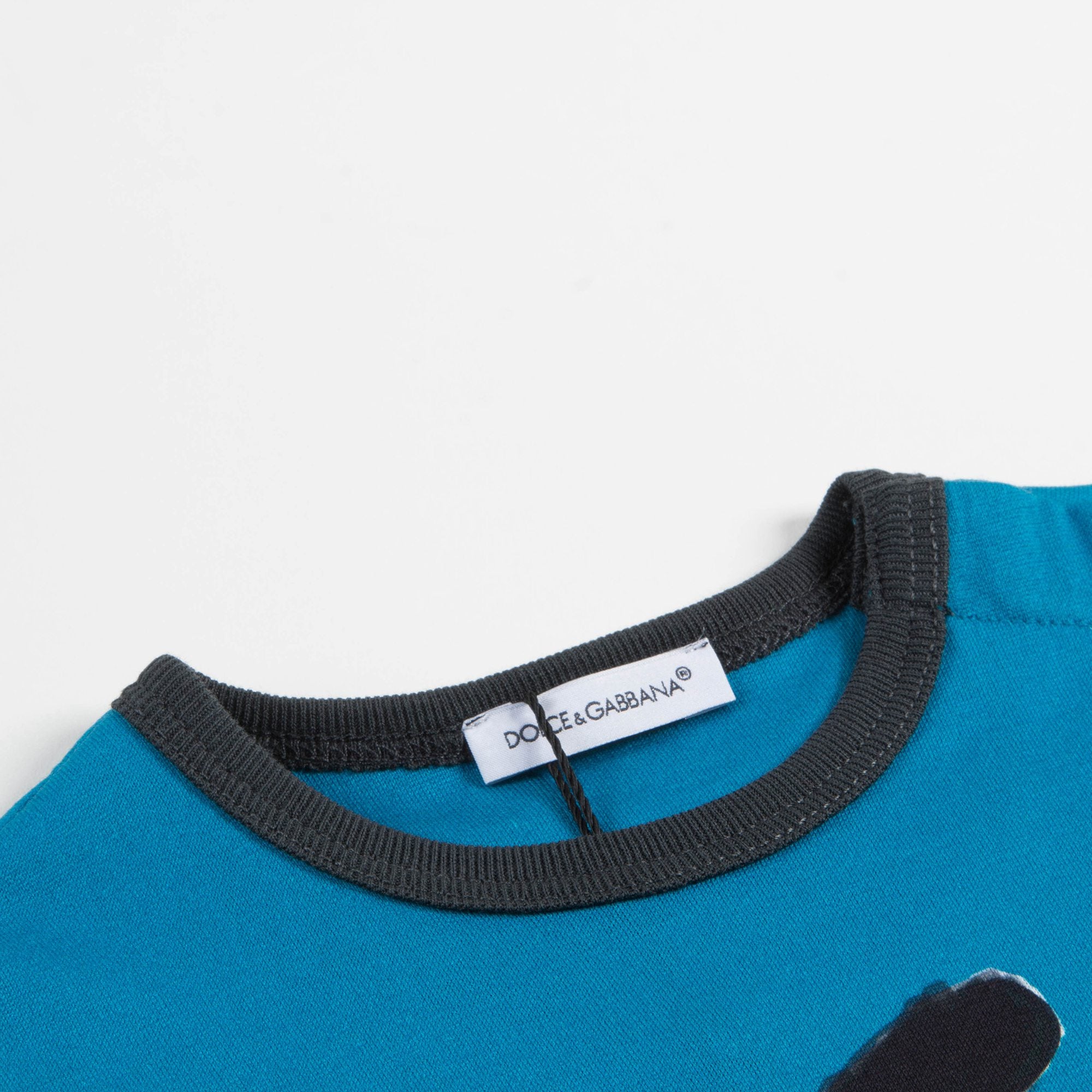 Baby Boys Blue "Dog" Cotton T-shirt