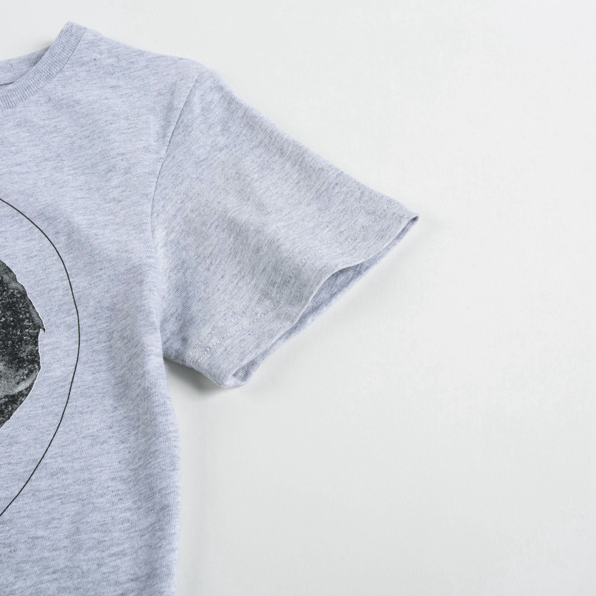 Boys Grey Dog Printed Cotton T-shirt