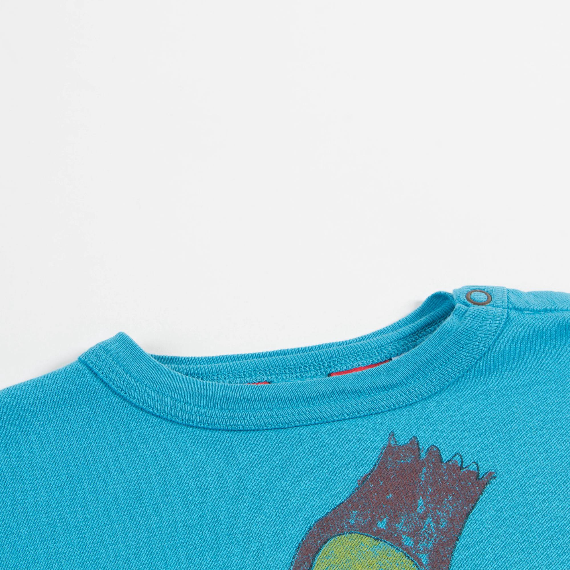 Baby Blue Halley Cotton Sweatshirt