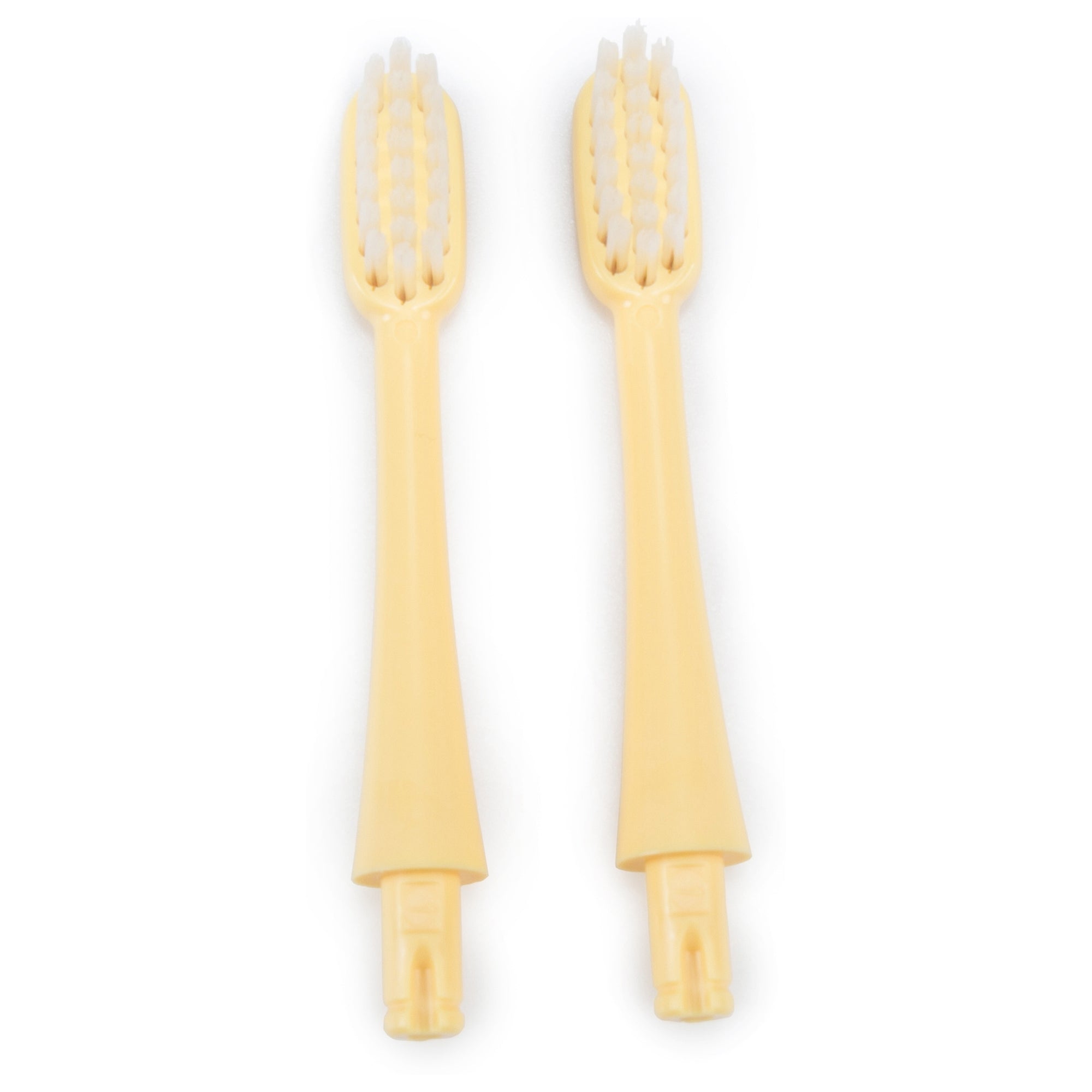 Tête de brosse à dents de rechange (lot de 2, couleurs aléatoires)