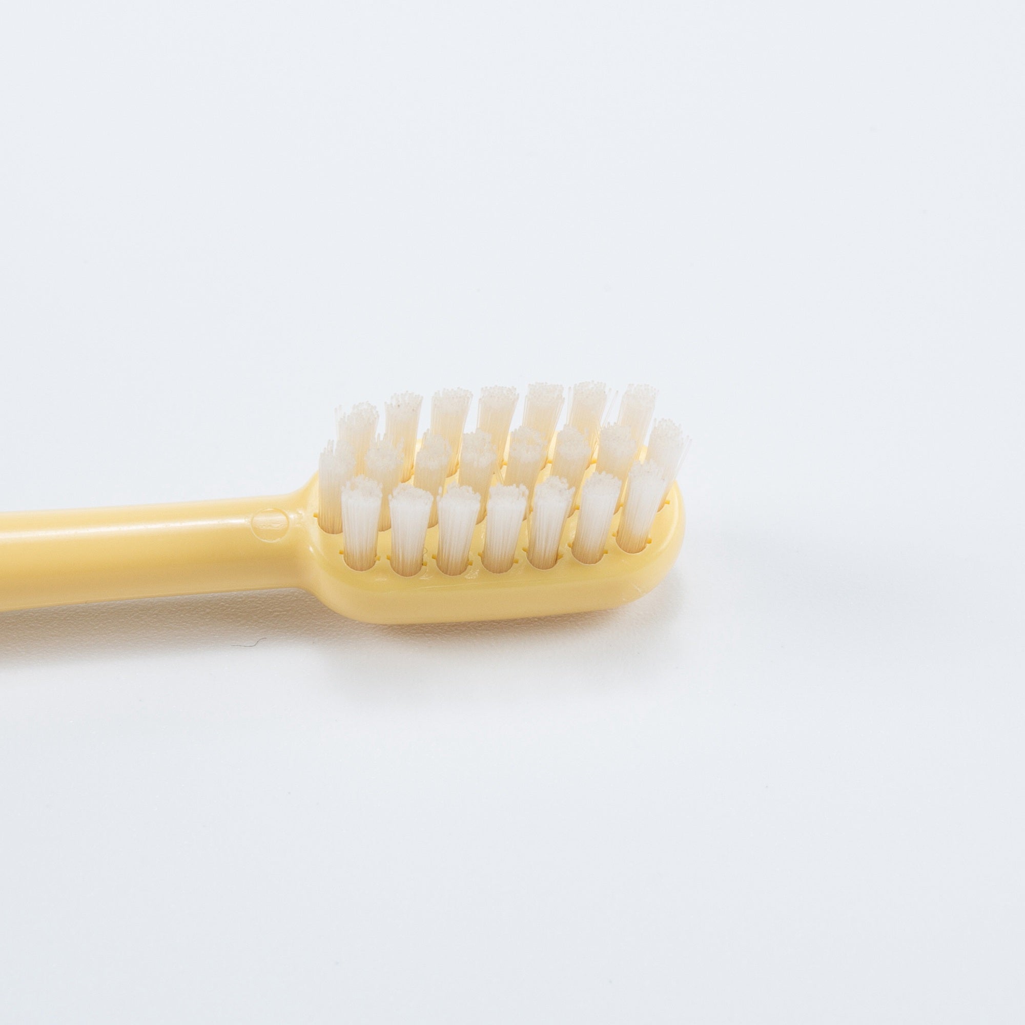 Tête de brosse à dents de rechange (lot de 2, couleurs aléatoires)