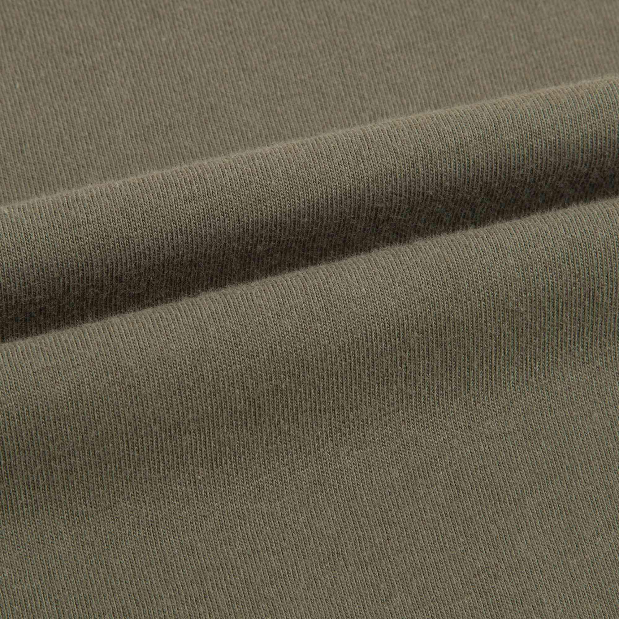 Boys Light Kaki With Tiger Cotton T-shirt