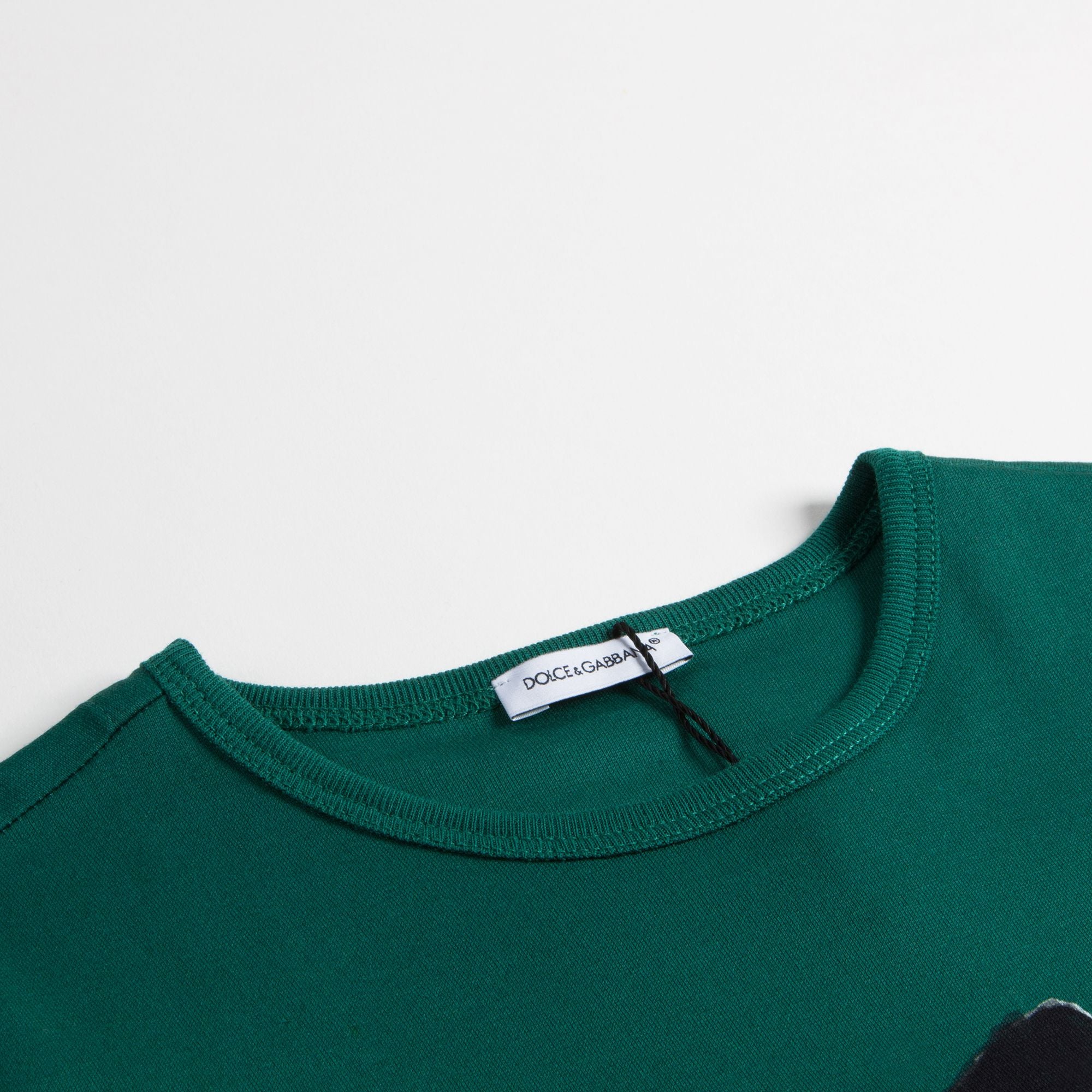 Boys Green Dog Print T-Shirt