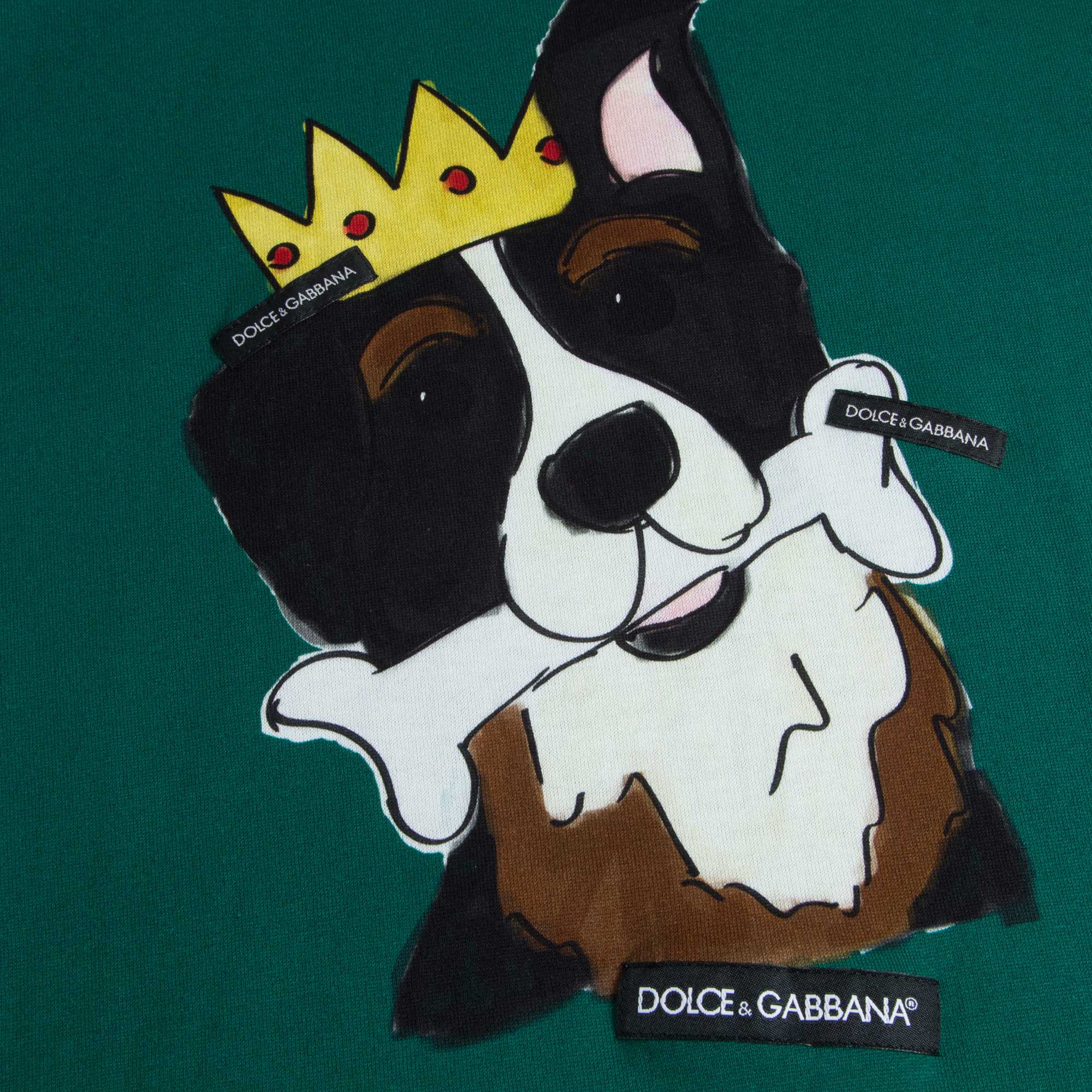 Boys Green Dog Print T-Shirt
