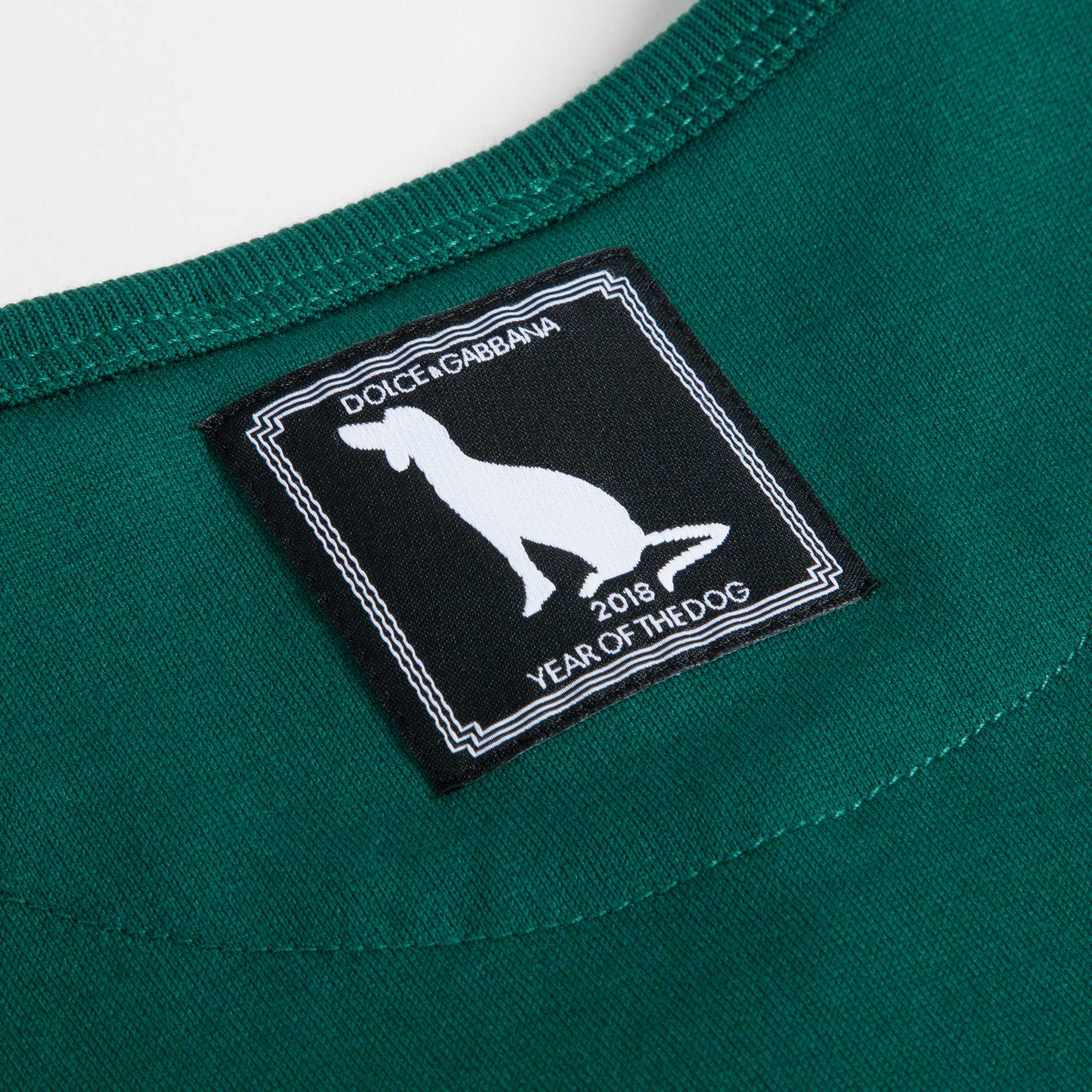 Boys Green Dog Print T-Shirt