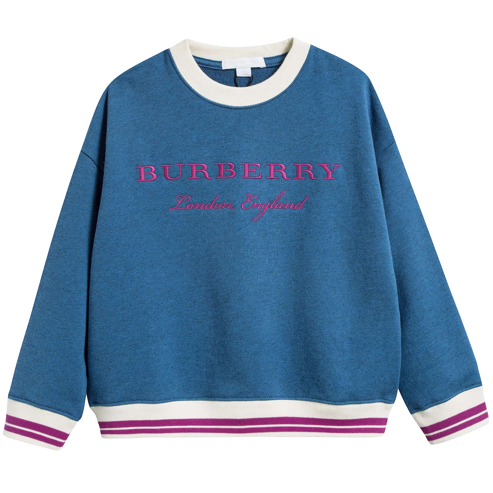 Girls Hydrangea Blue Cotton Sweatshirt
