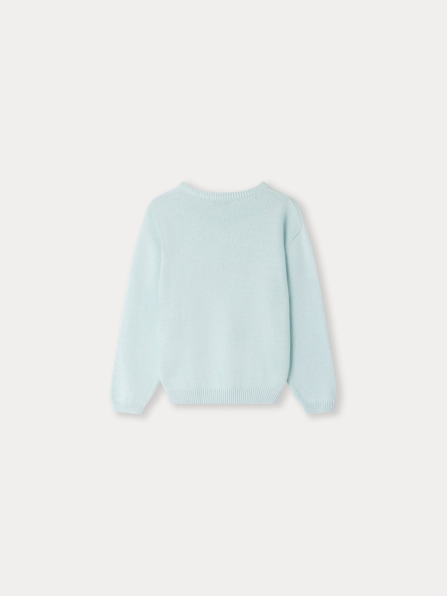 Boys Mint Cotton Sweater
