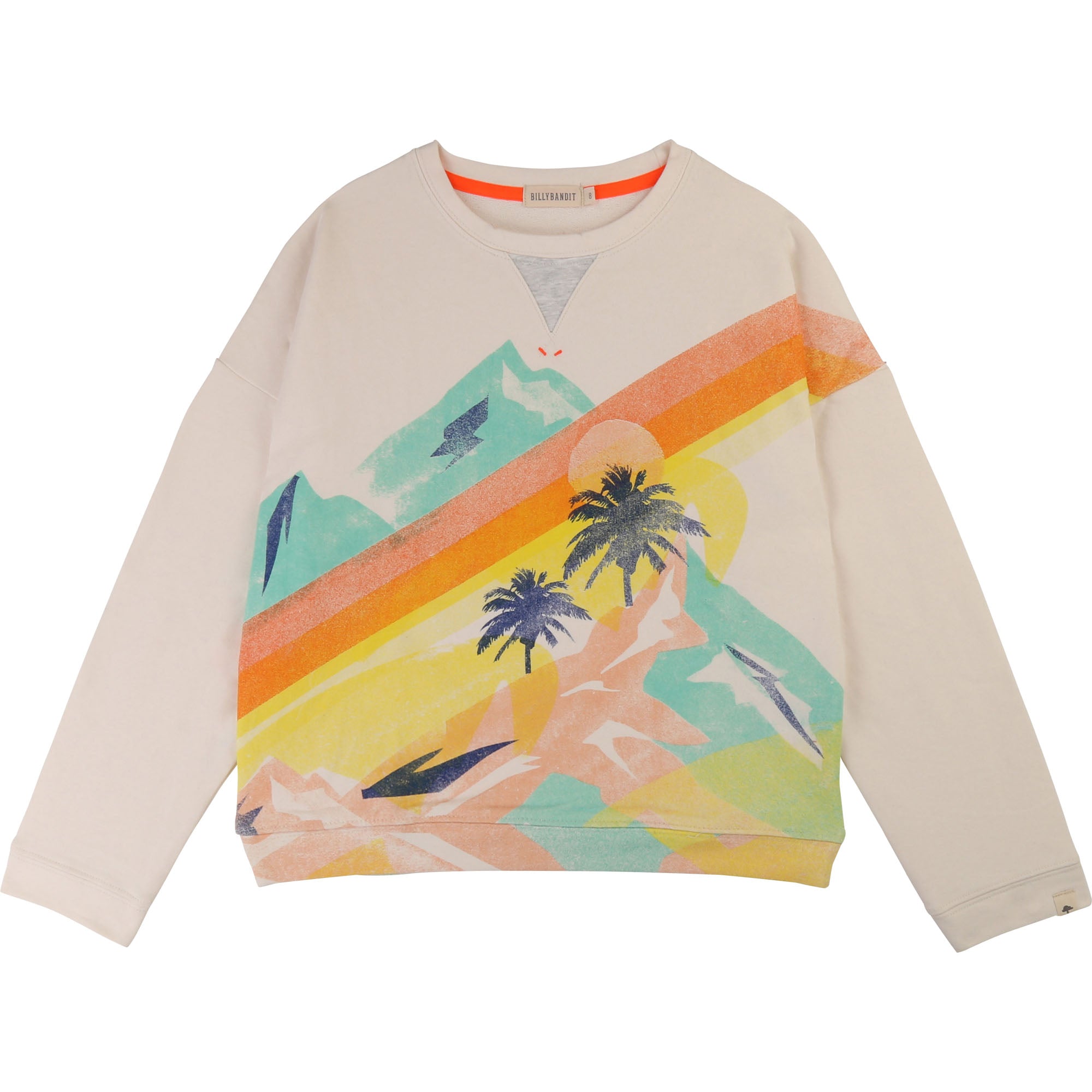 Boys Beige Cotton Sweater