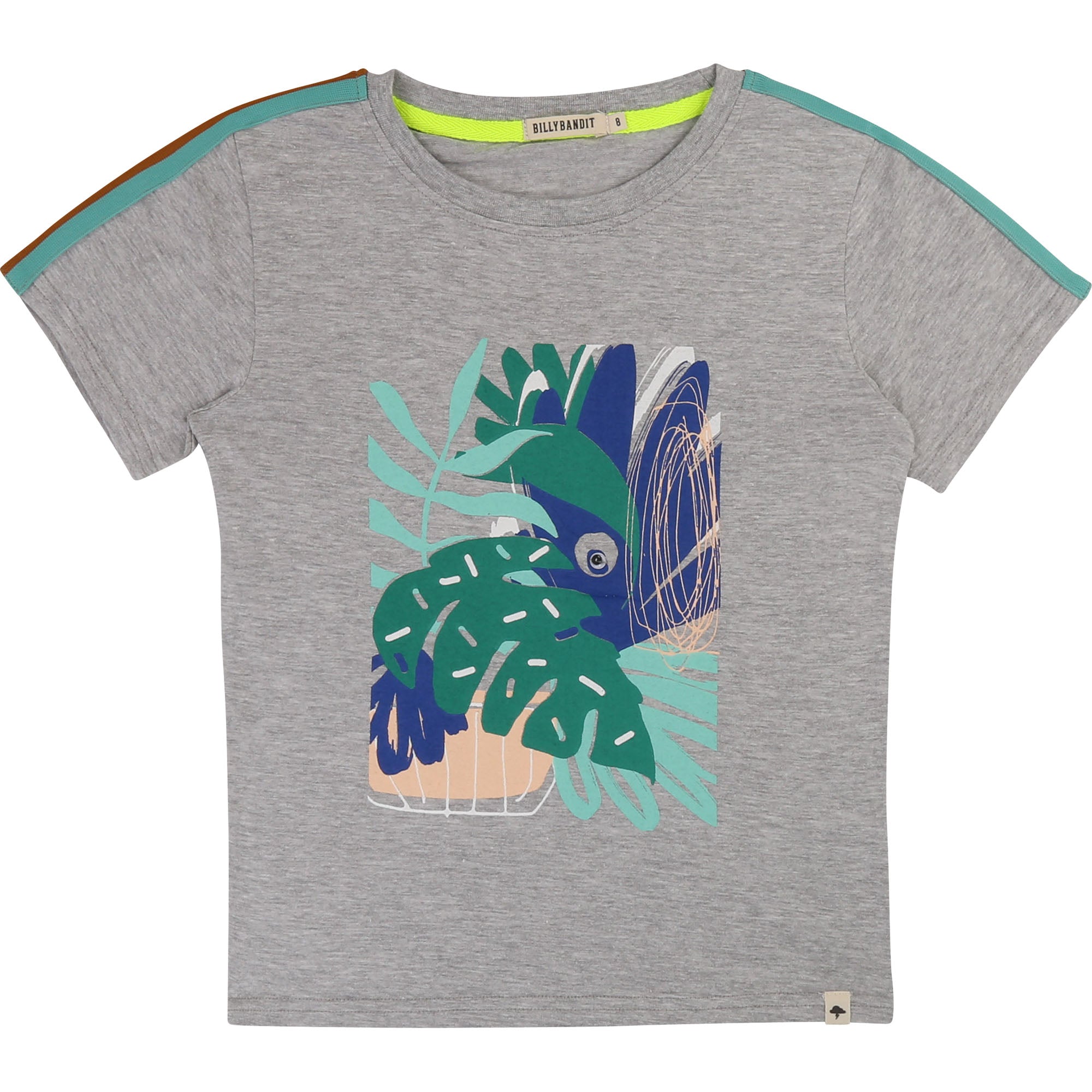 Boys Grey Printed Cotton T-shirt