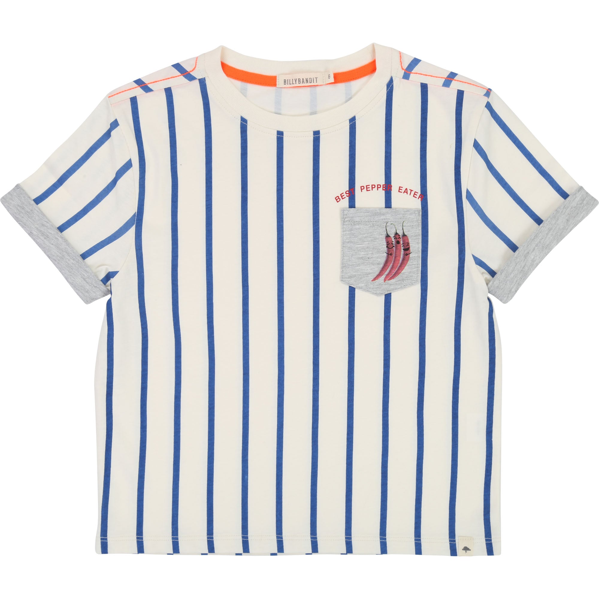 Boys White & Blue Striped Cotton T-shirt