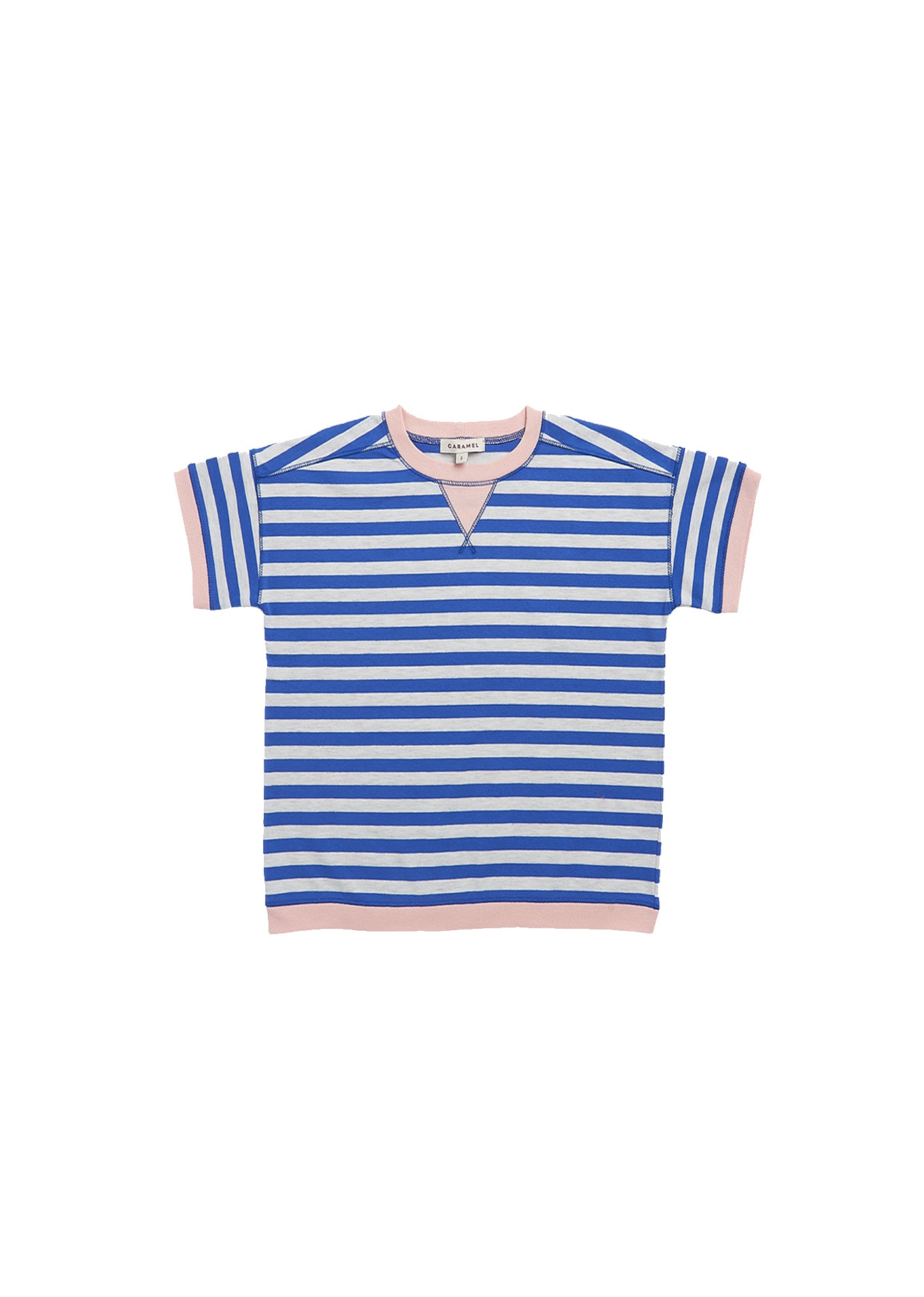Boys Blue Stripe Cotton T-shirt