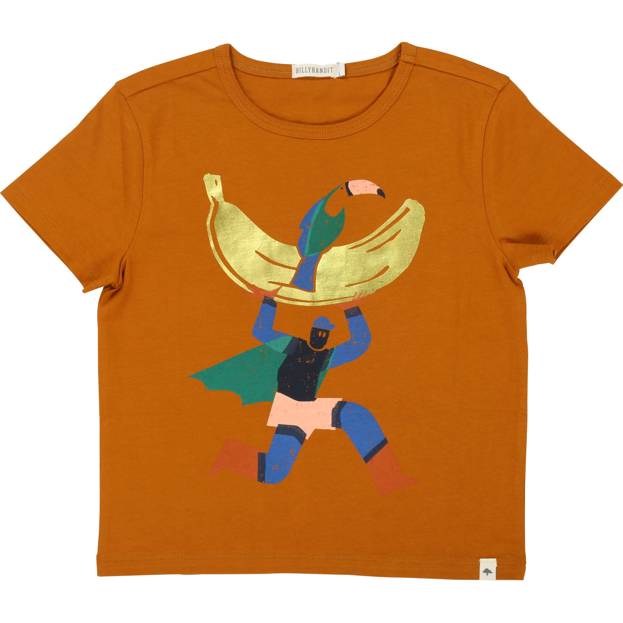 Boys Brown Cotton T-shirt