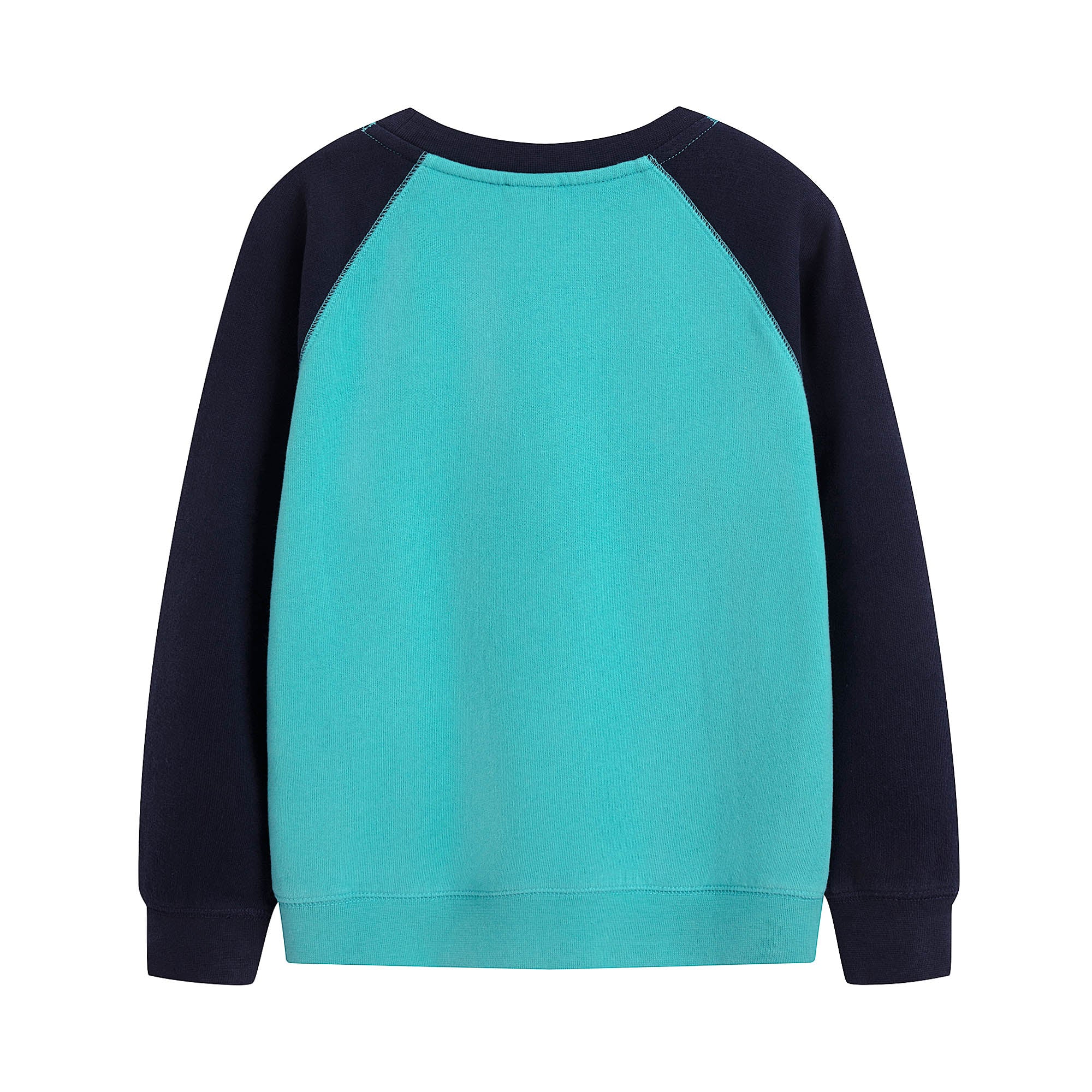 Boys Blue Cotton Sweatshirt