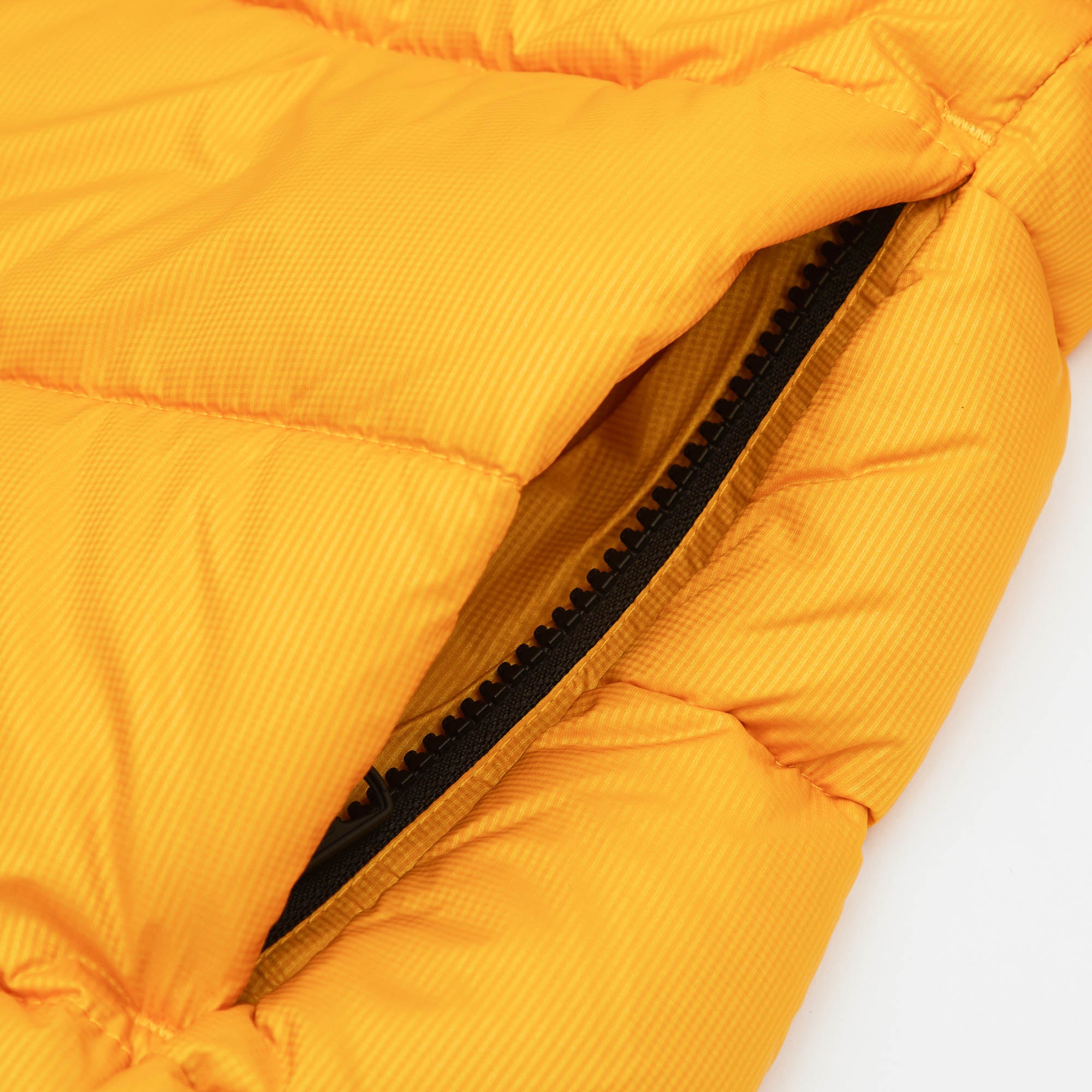 Boys & Girls Yellow Padded Down Jacket