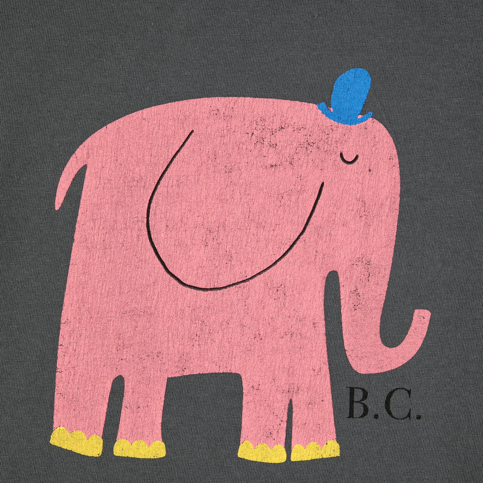 Boys & Girls Grey Printed Cotton T-Shirt