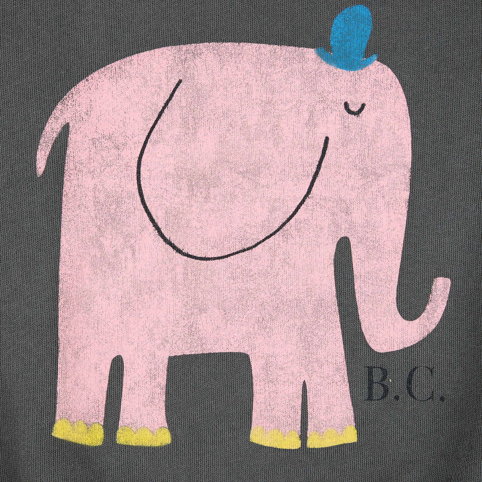 Boys & Girls Grey Printed Cotton Sweatshirt